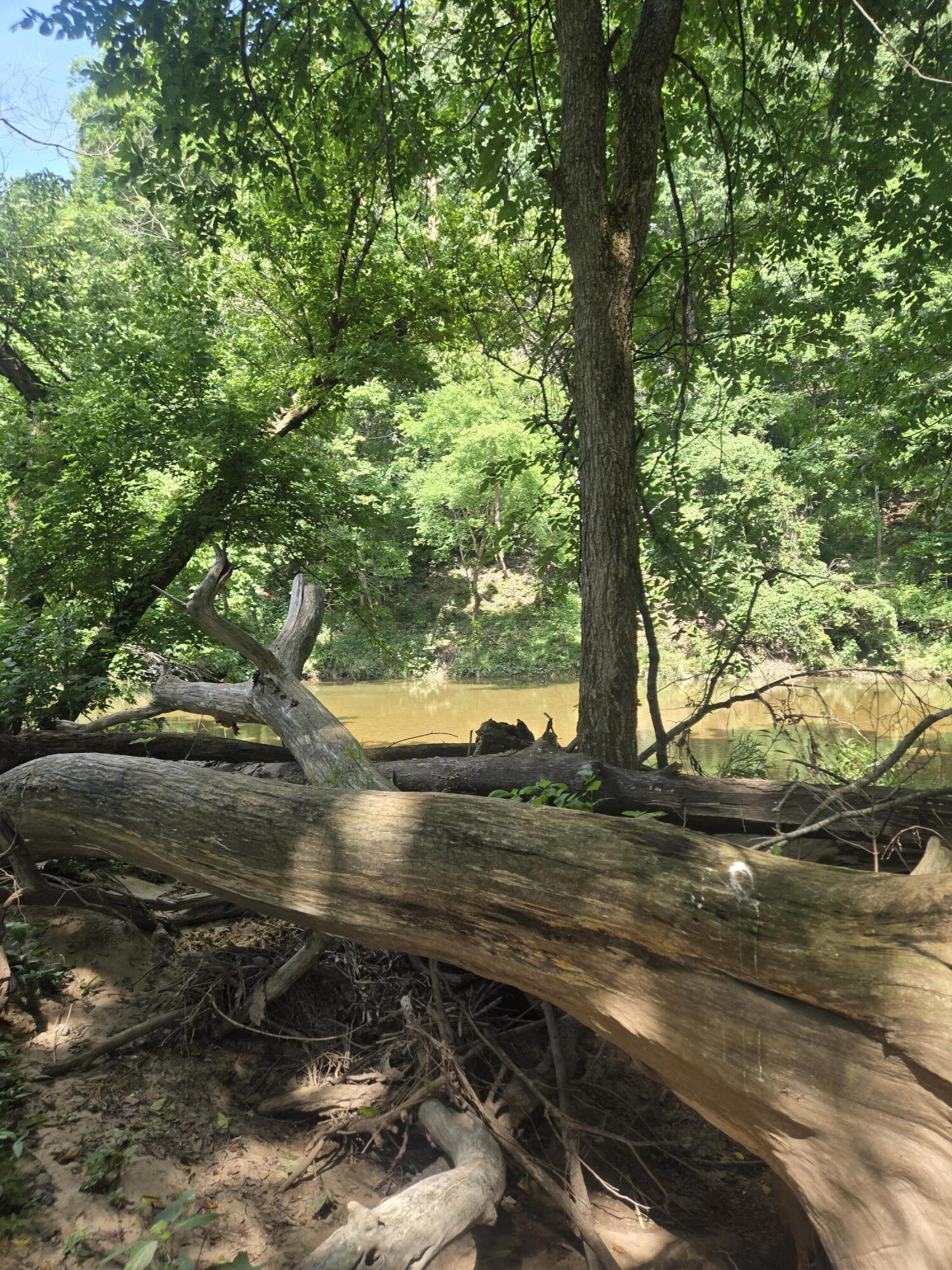 Photo 41 - Land for sale – 0000  Reaves Road  Mountain Grove, MO