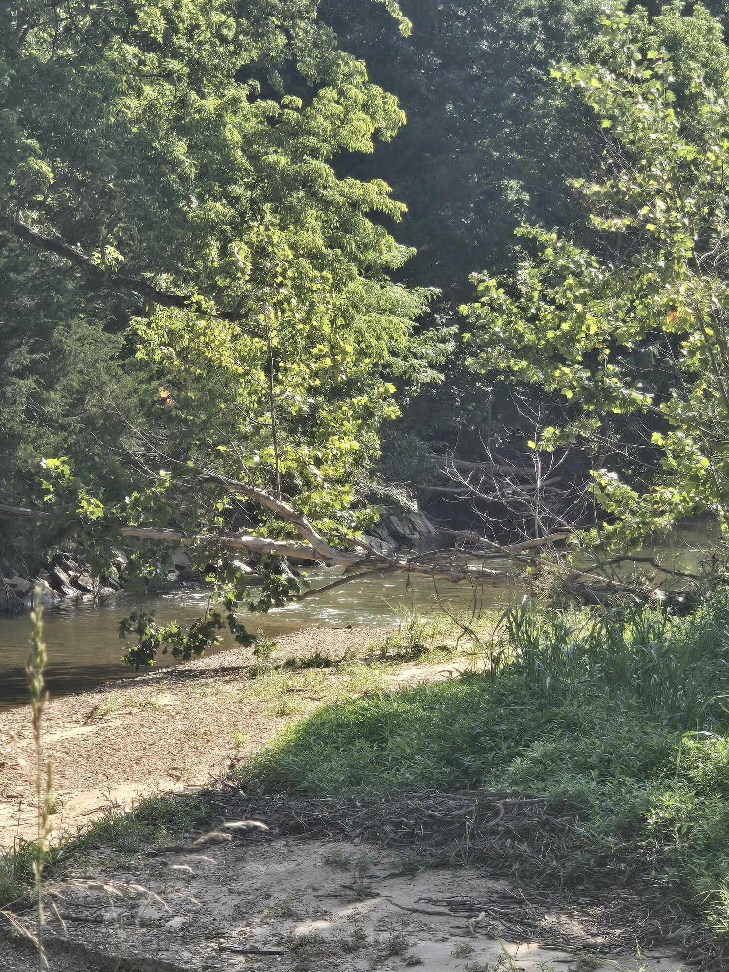 Photo 2 - Land for sale – 0000  Reaves Road  Mountain Grove, MO
