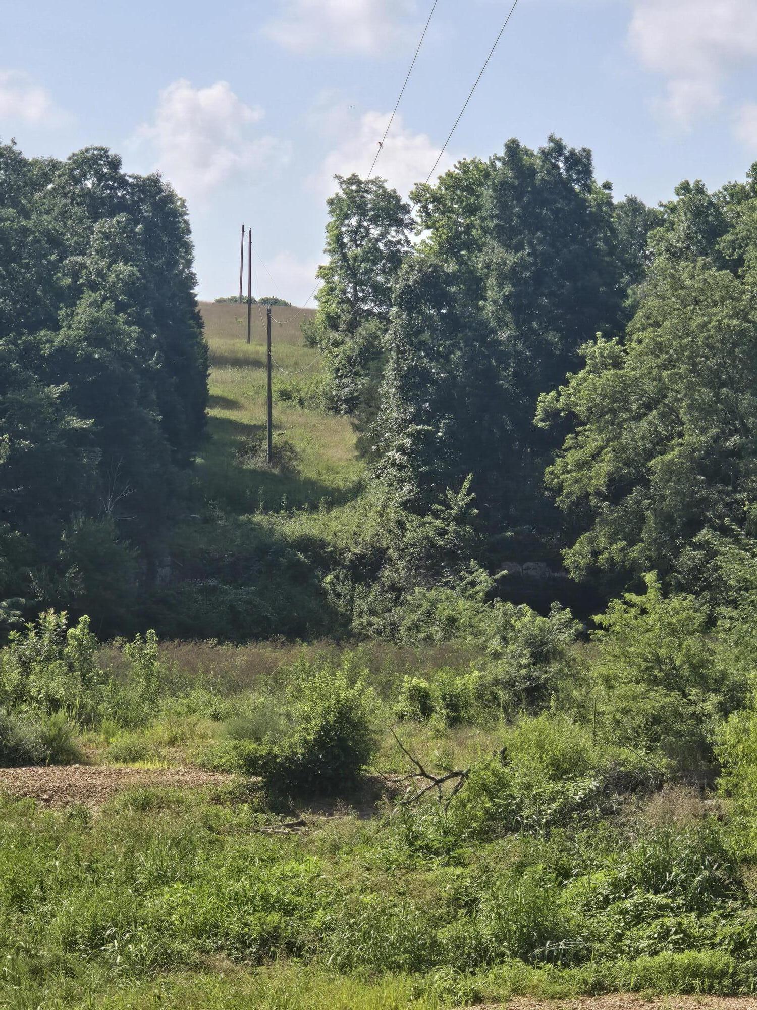 Photo 3 - Land for sale – 0000  Reaves Road  Mountain Grove, MO
