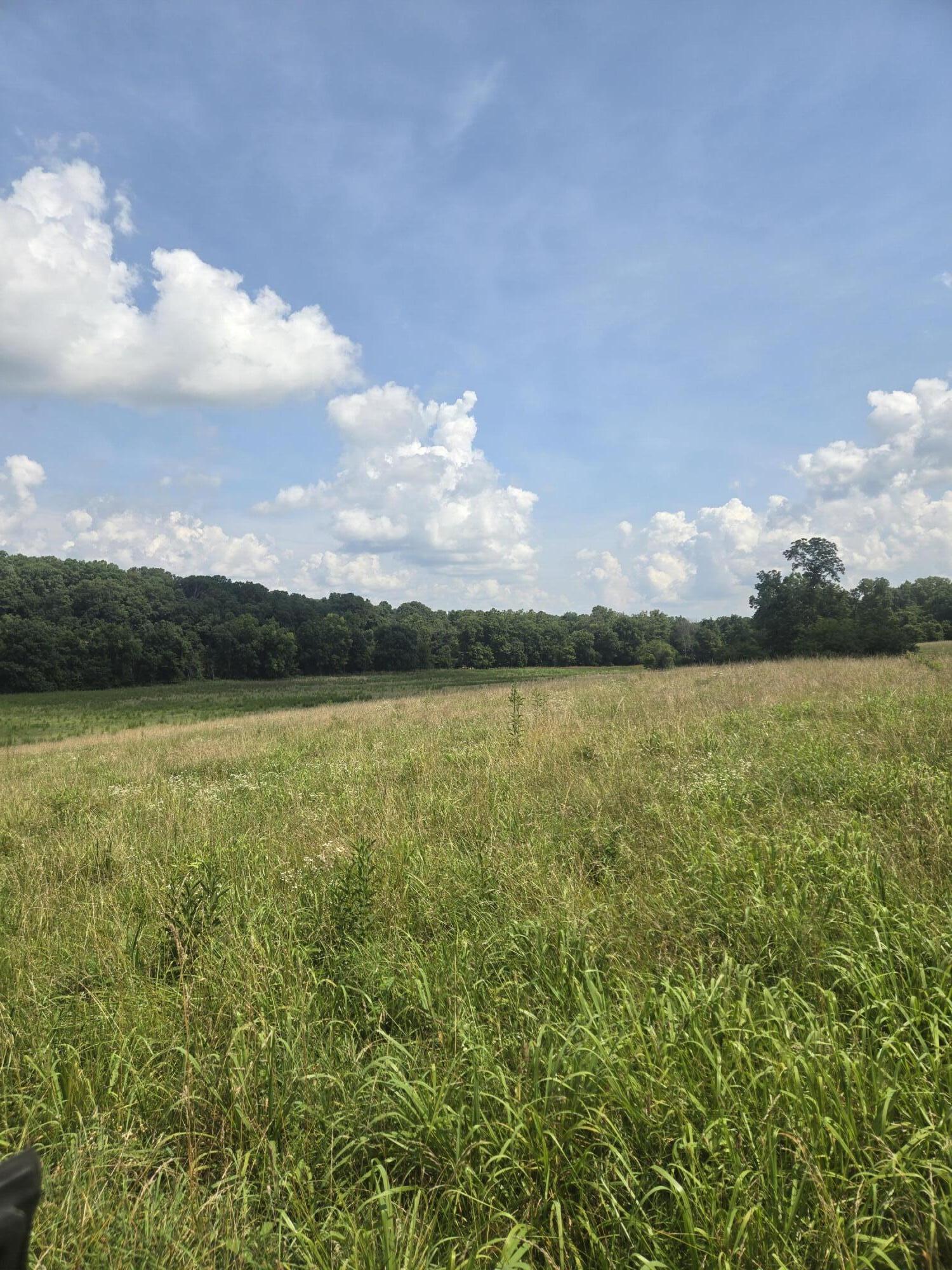 Photo 7 - Land for sale – 0000  Reaves Road  Mountain Grove, MO