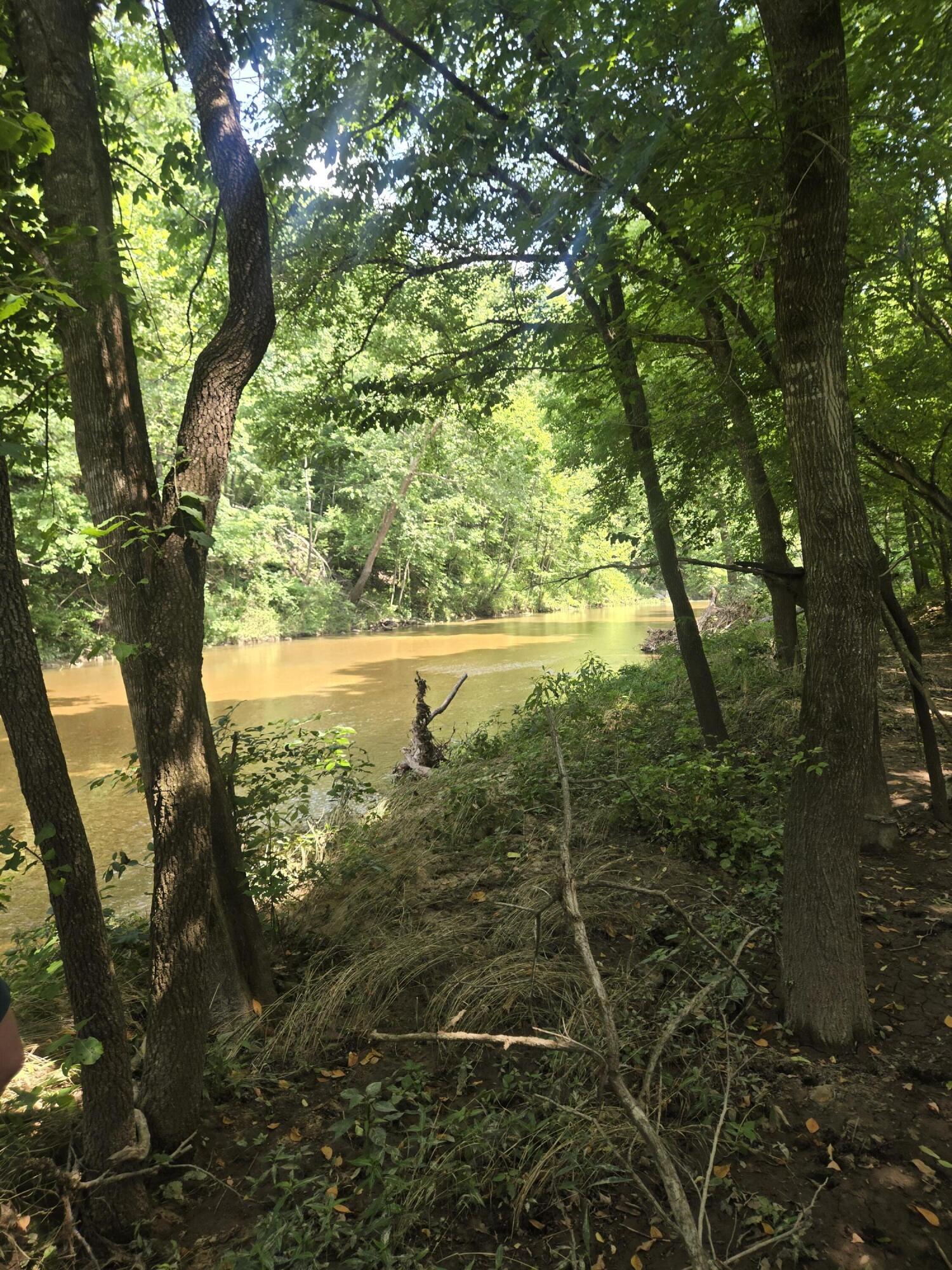 Photo 9 - Land for sale – 0000  Reaves Road  Mountain Grove, MO
