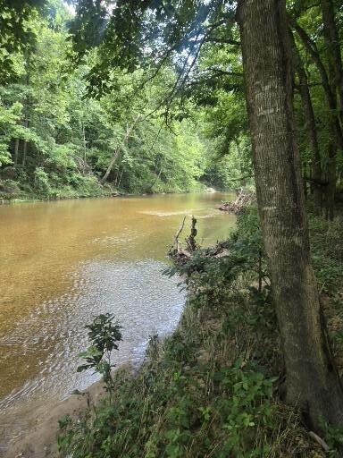 Photo 34 - Land for sale – 0000  Reaves Road  Mountain Grove, MO