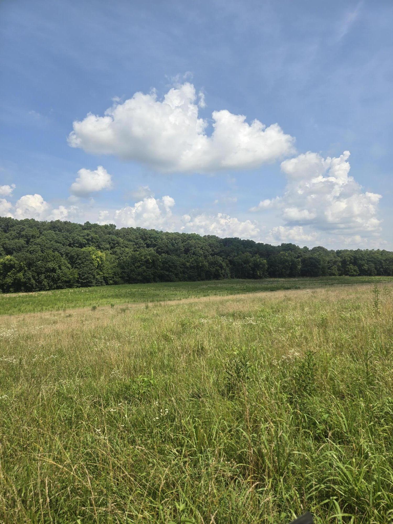 Photo 29 - Land for sale – 0000  Reaves Road  Mountain Grove, MO