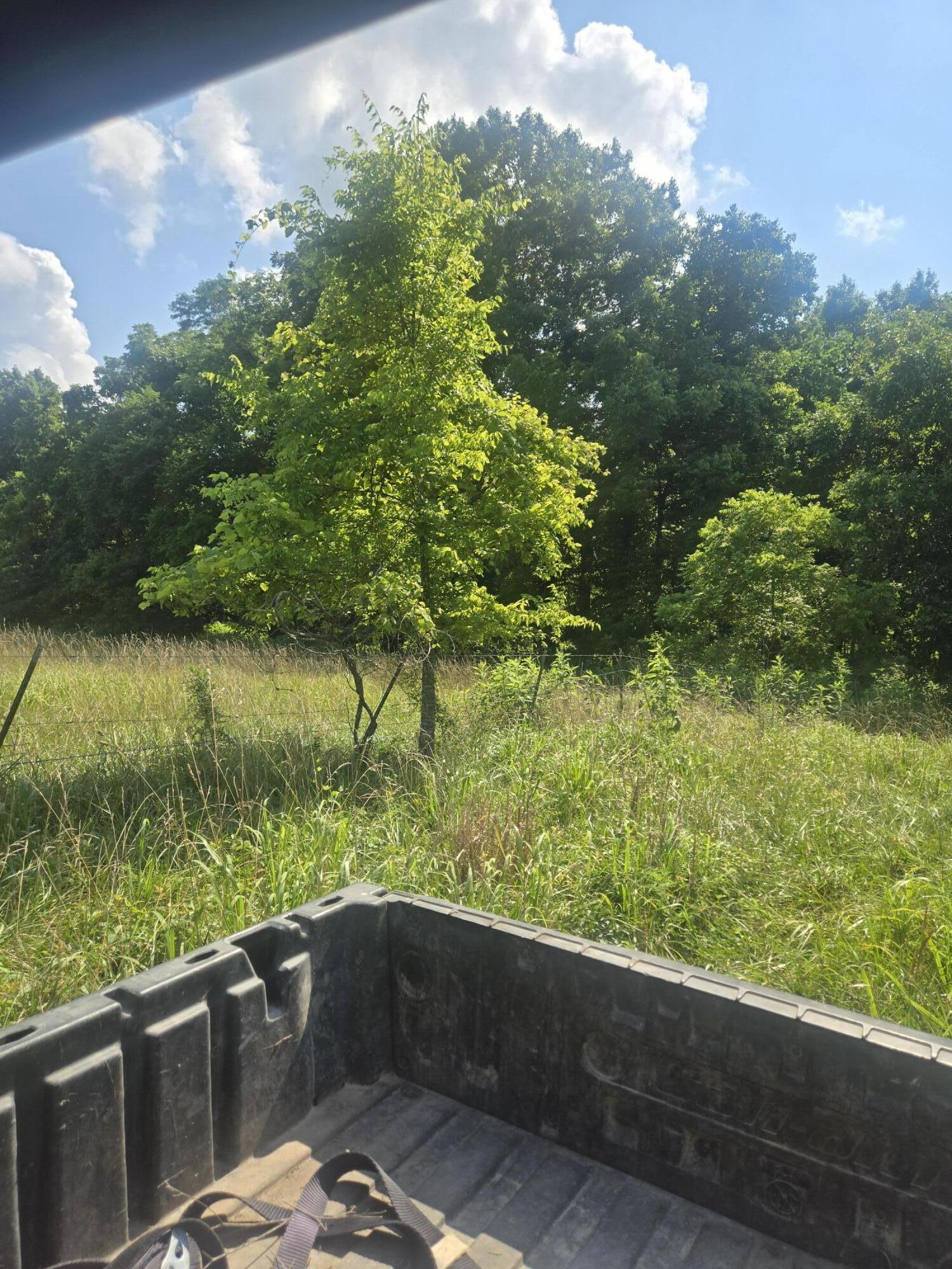 Photo 15 - Land for sale – 0000  Reaves Road  Mountain Grove, MO