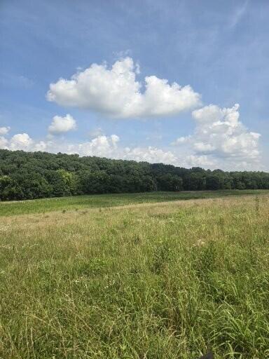 Photo 11 - Land for sale – 0000  Reaves Road  Mountain Grove, MO