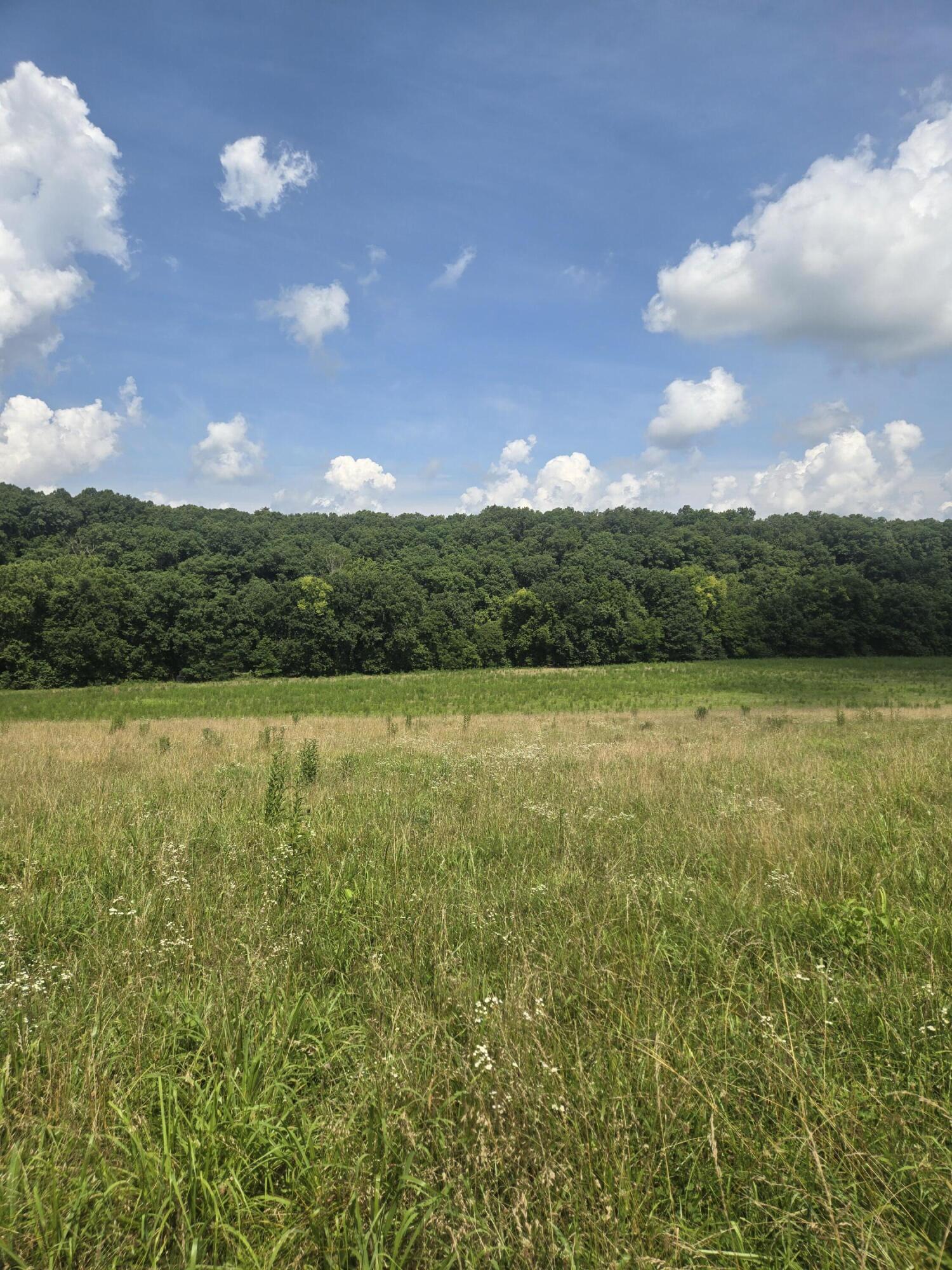 Photo 28 - Land for sale – 0000  Reaves Road  Mountain Grove, MO