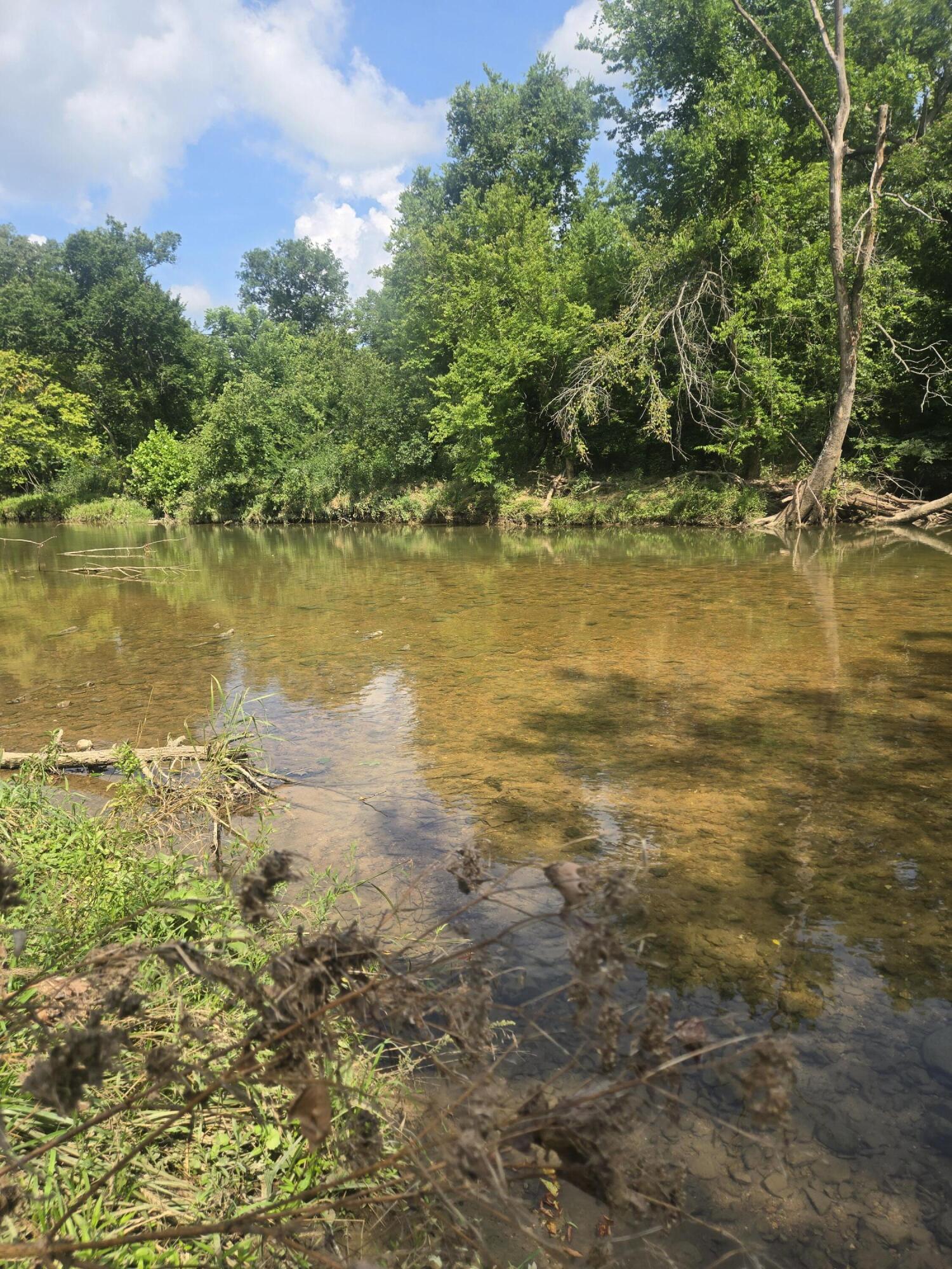 Photo 25 - Land for sale – 0000  Reaves Road  Mountain Grove, MO