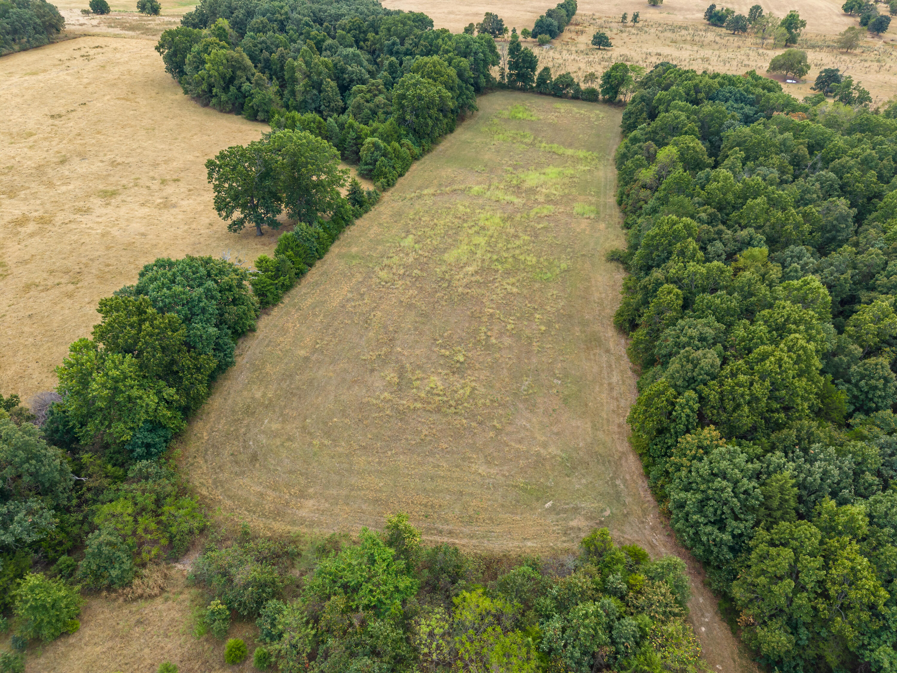 Photo 11 - Land for sale – 000  Highway 5   Hartville, MO