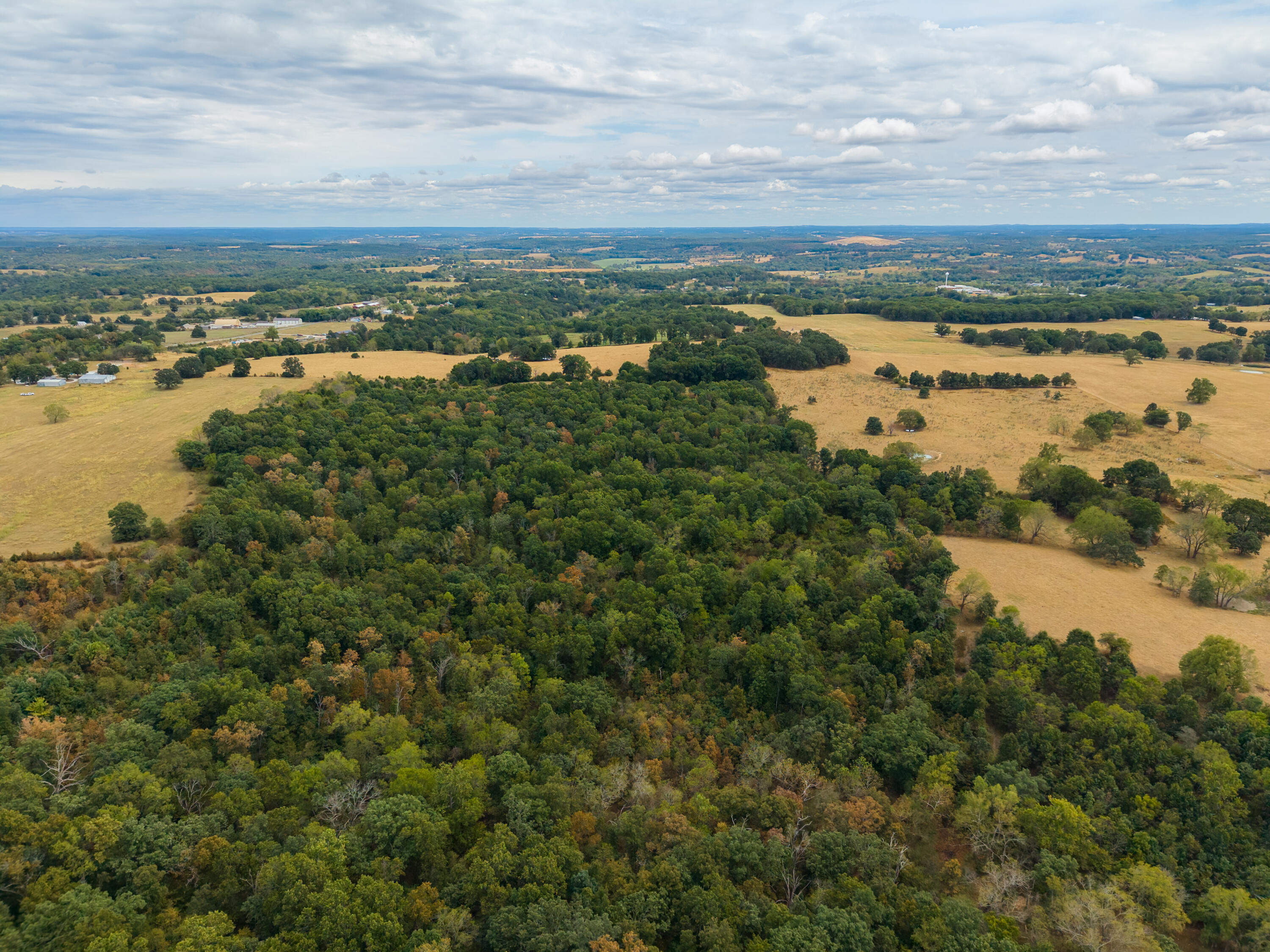 Photo 6 - Land for sale – 000  Highway 5   Hartville, MO
