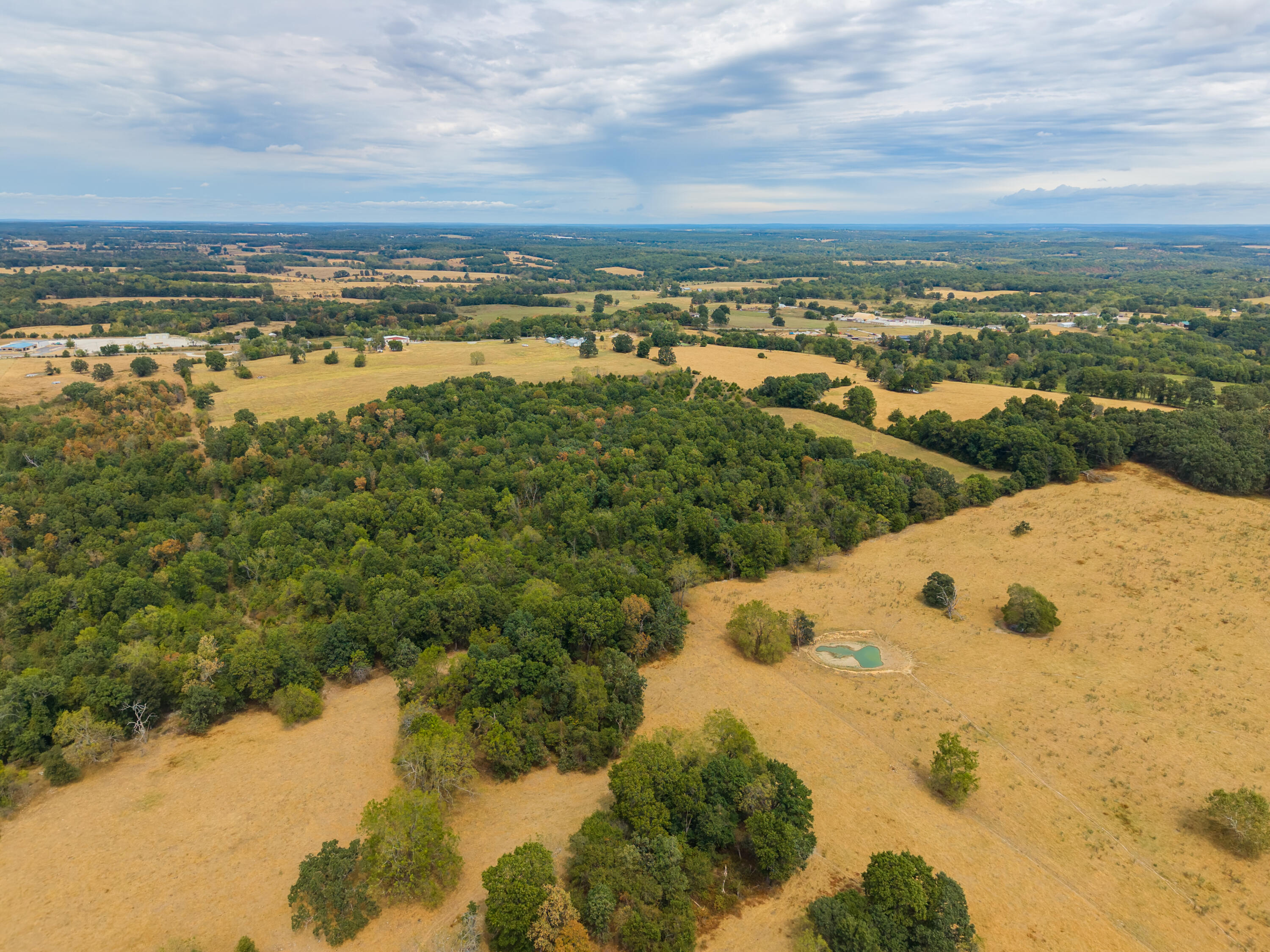 Photo 5 - Land for sale – 000  Highway 5   Hartville, MO