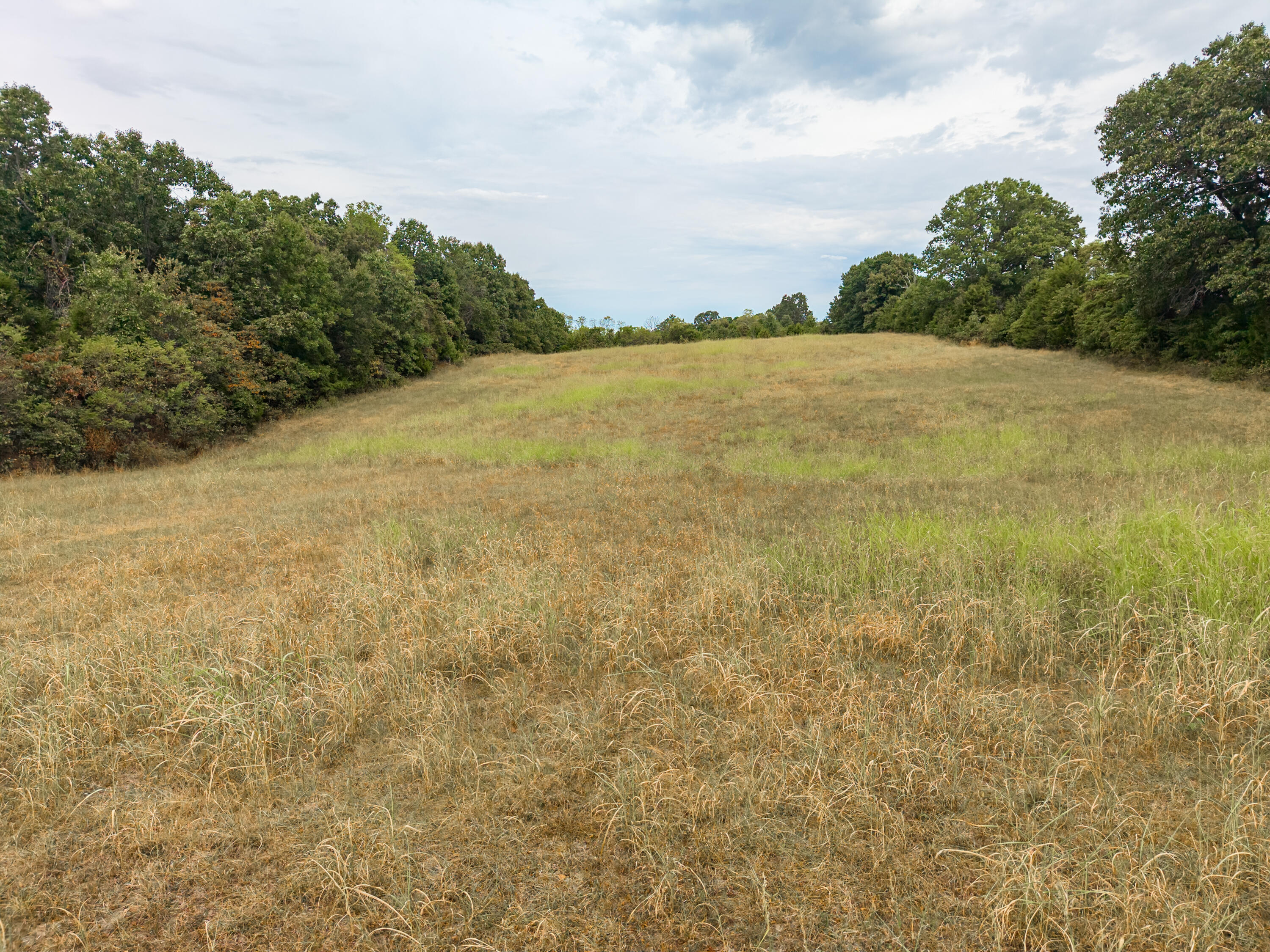 Photo 13 - Land for sale – 000  Highway 5   Hartville, MO