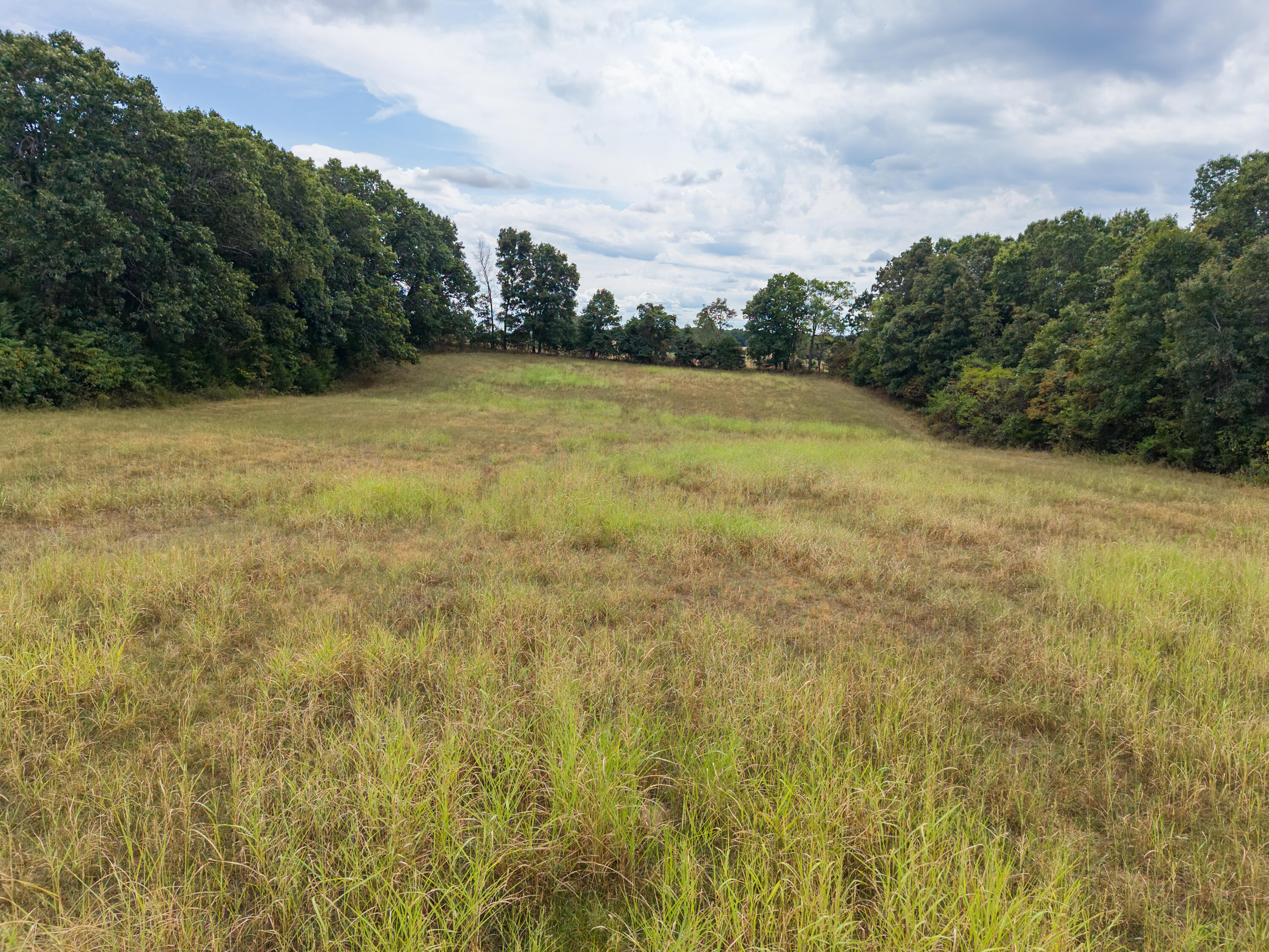 Photo 12 - Land for sale – 000  Highway 5   Hartville, MO