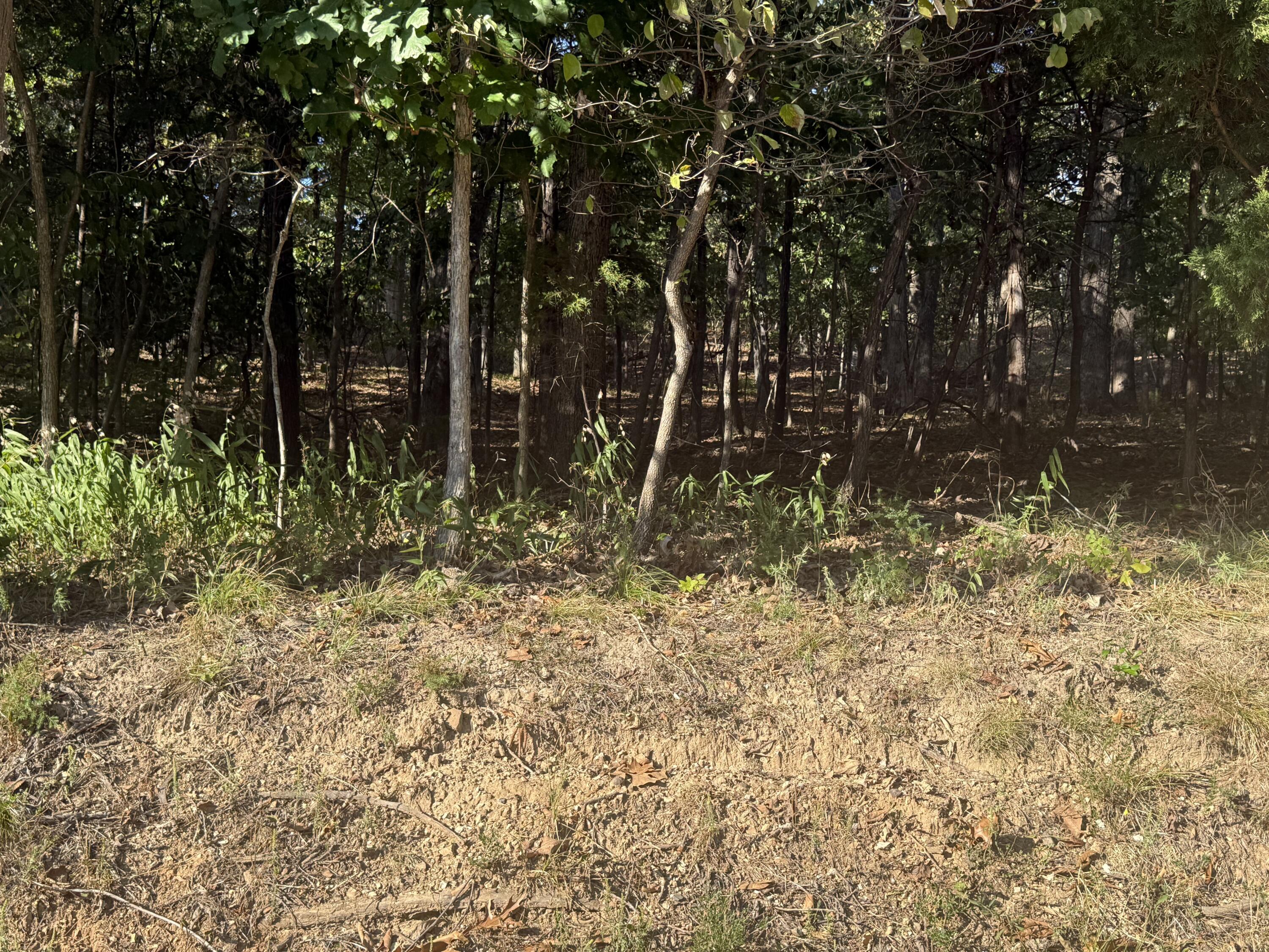 Photo 3 - Land for sale – 1155  Salem   Lake Ozark, MO