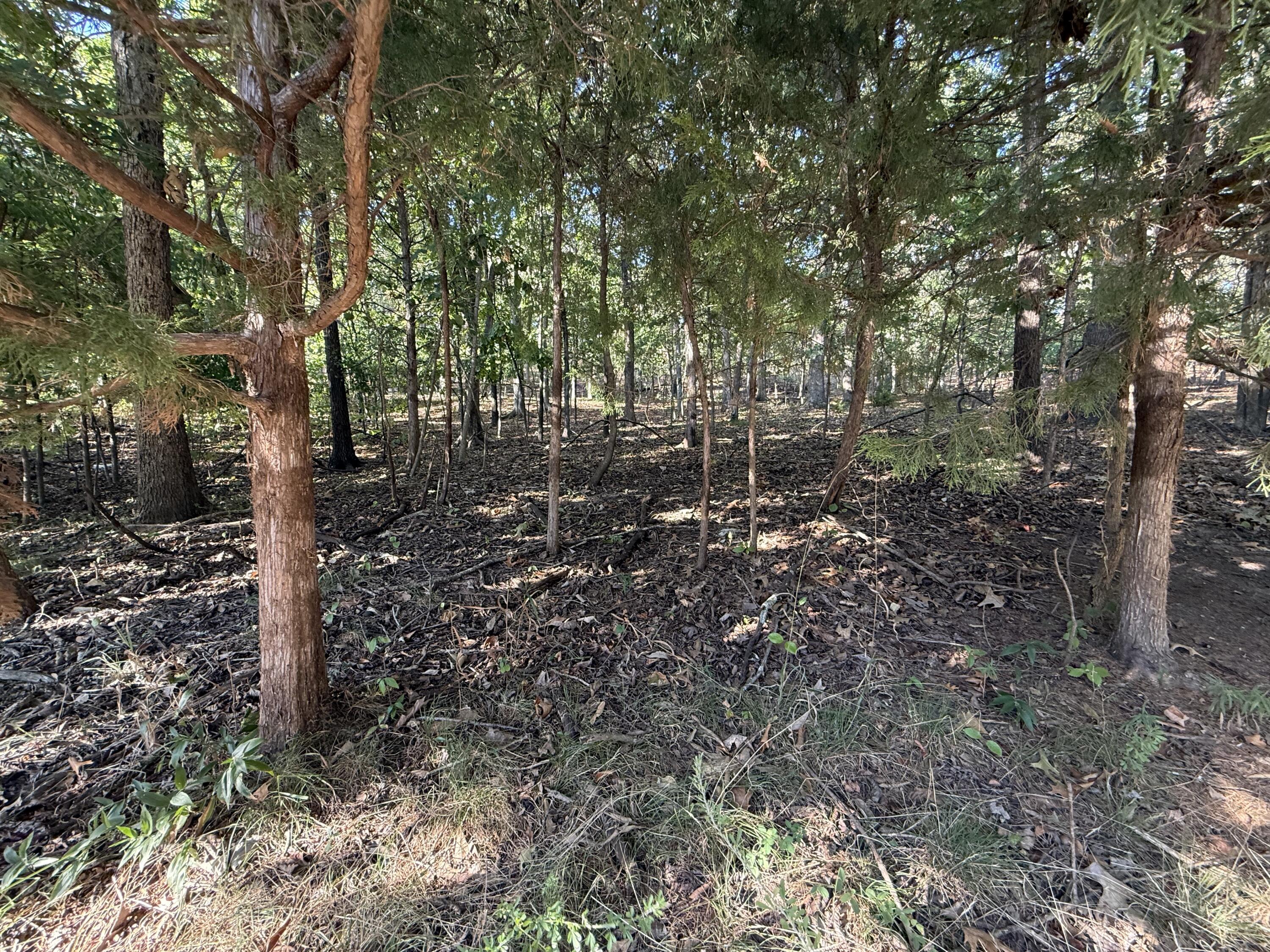 Photo 2 - Land for sale – 1155  Salem   Lake Ozark, MO