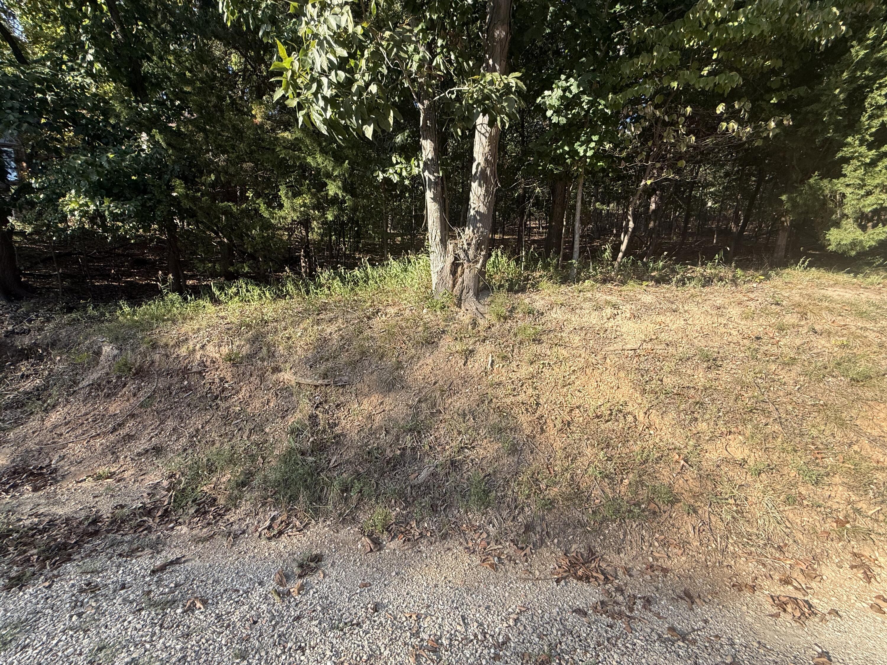 Photo 15 - Land for sale – 1155  Salem   Lake Ozark, MO