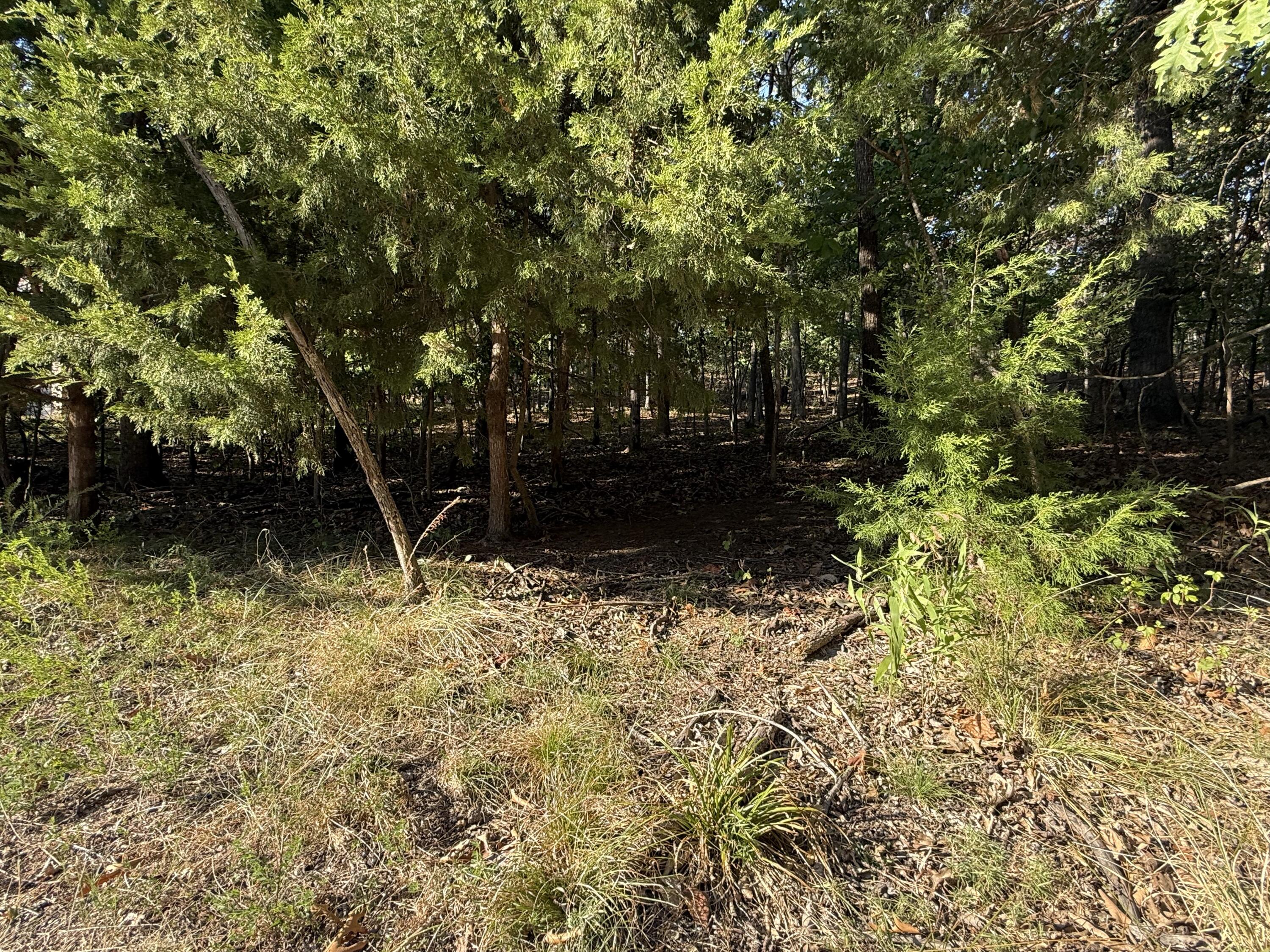 Photo 5 - Land for sale – 1155  Salem   Lake Ozark, MO