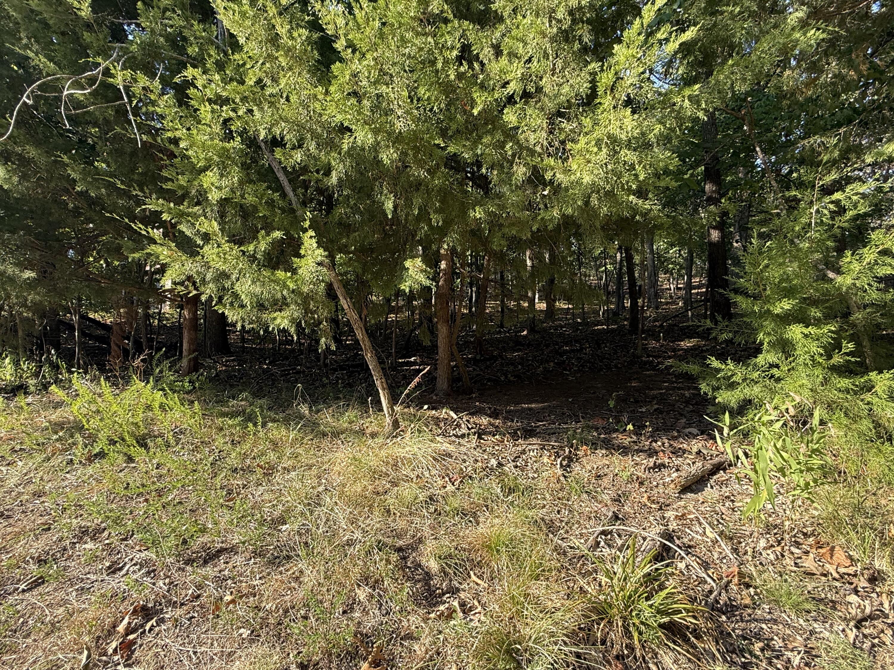 Photo 16 - Land for sale – 1155  Salem   Lake Ozark, MO