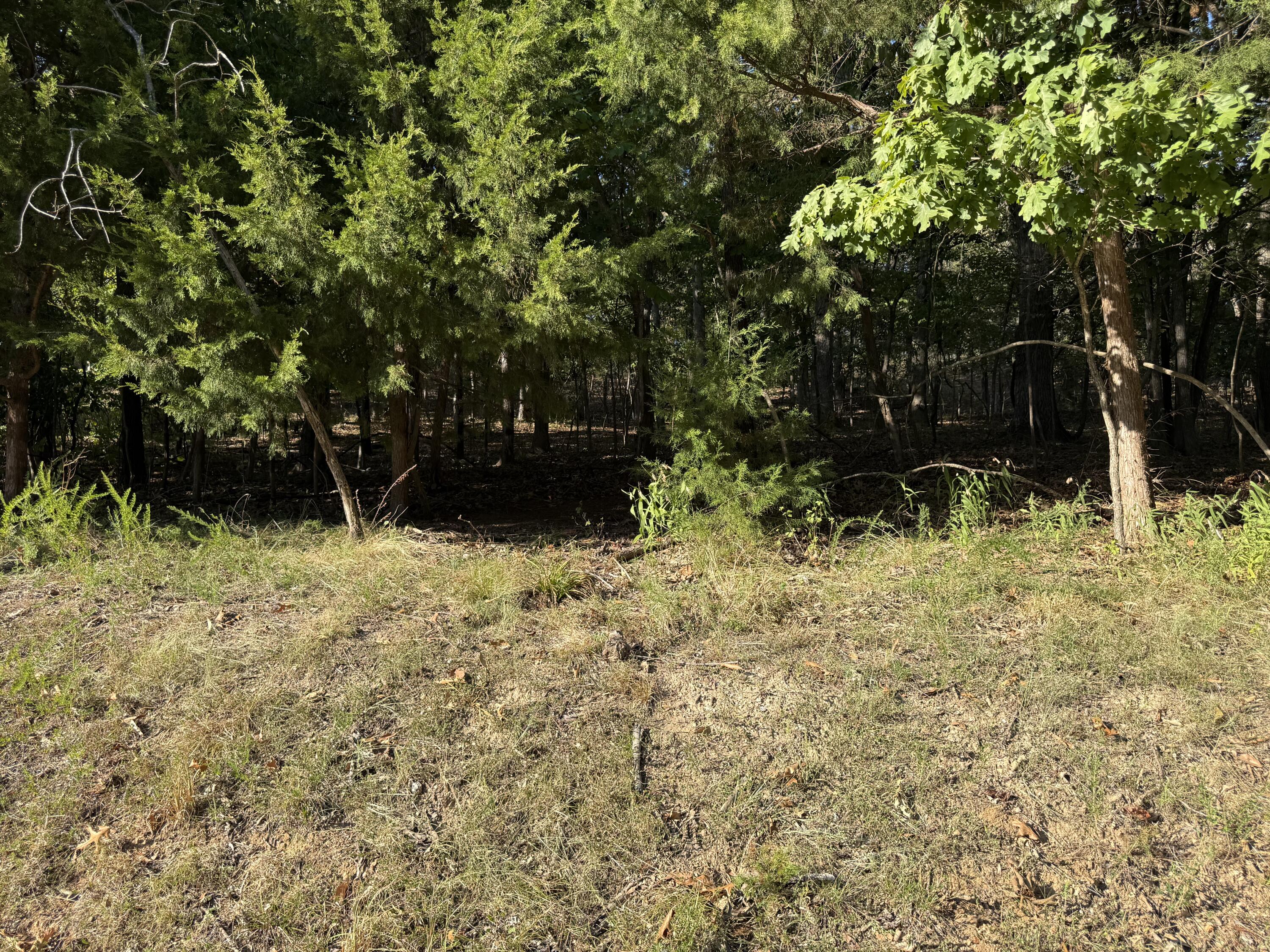 Photo 4 - Land for sale – 1155  Salem   Lake Ozark, MO