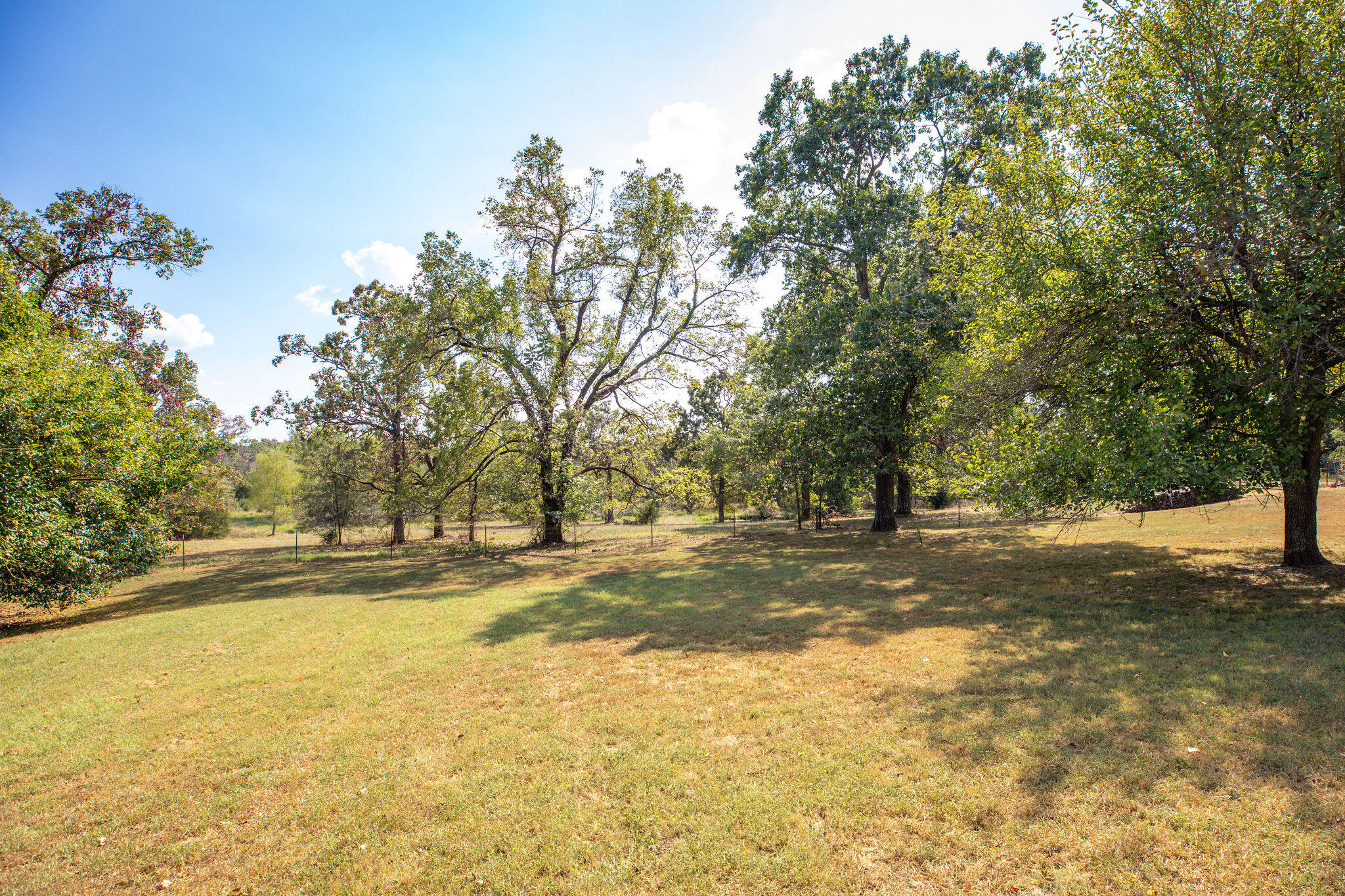 Photo 35 - Residential for sale – 25323  Farm Road 1242   Golden, MO