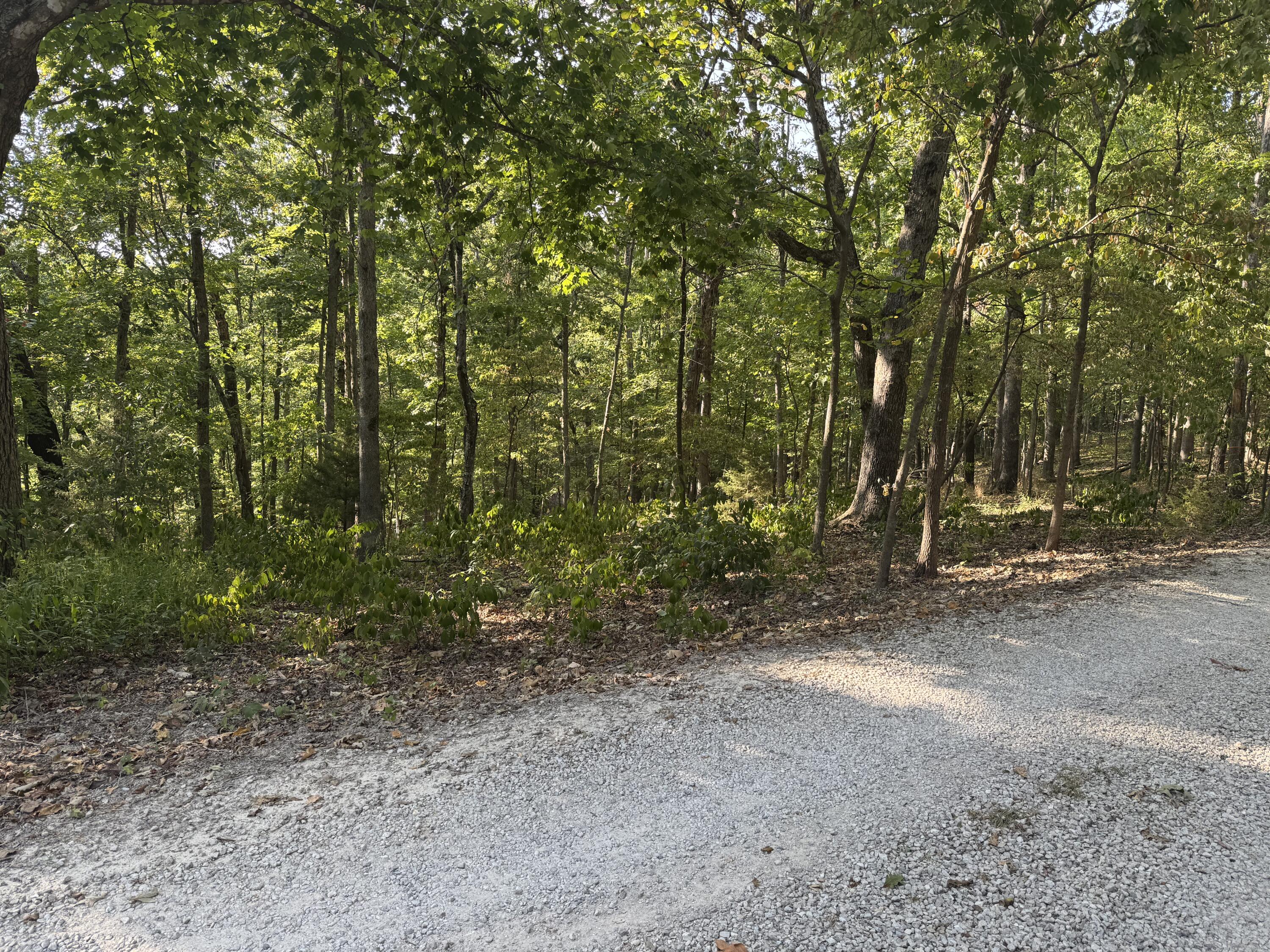 Photo 6 - Land for sale – Xxxx  Coyote Ridge Road  Cassville, MO