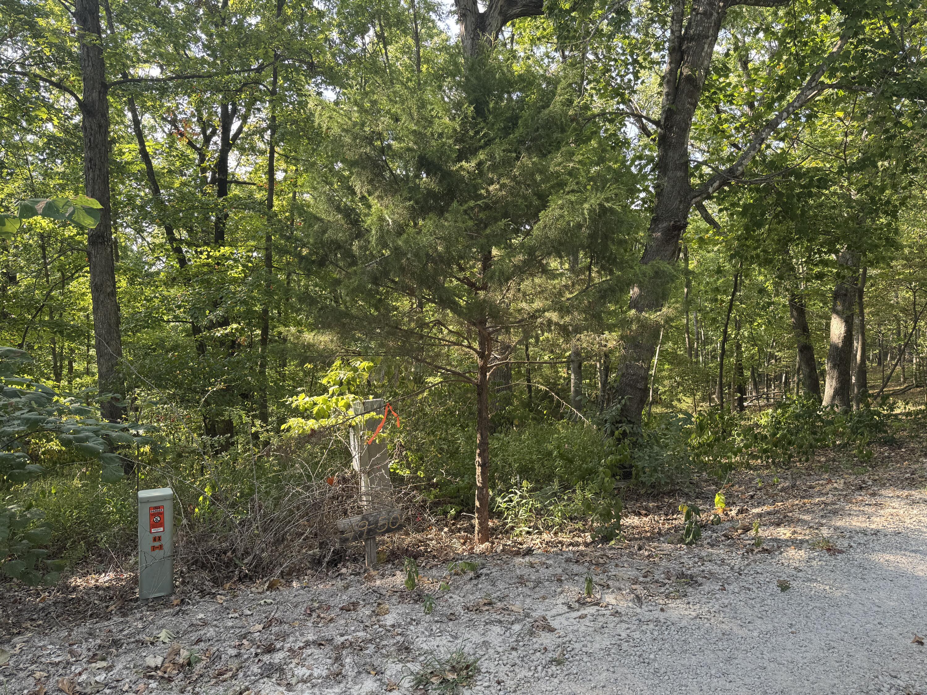 Photo 5 - Land for sale – Xxxx  Coyote Ridge Road  Cassville, MO