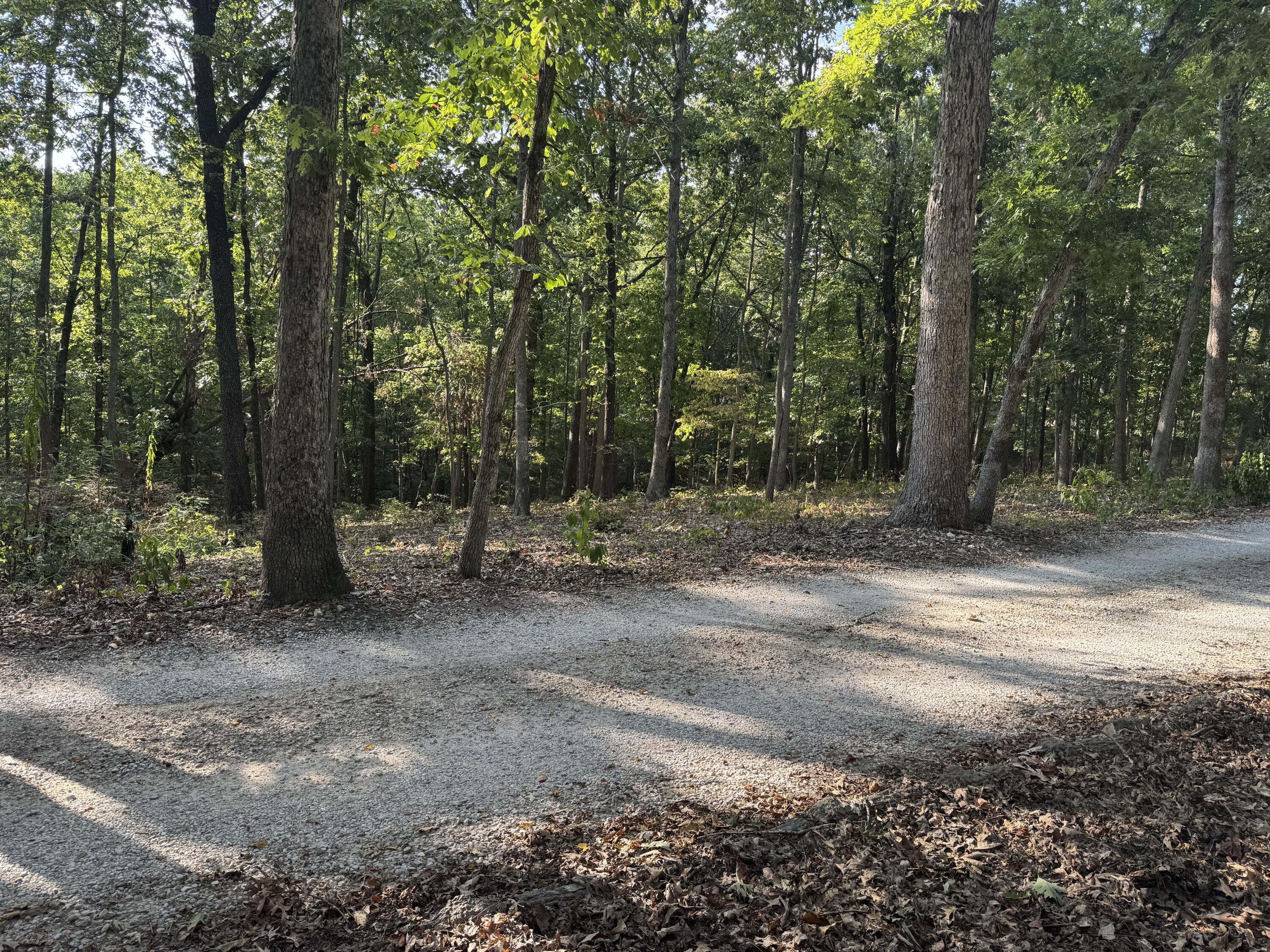 Land for sale – Xxxx  Coyote Ridge Road  Cassville, MO