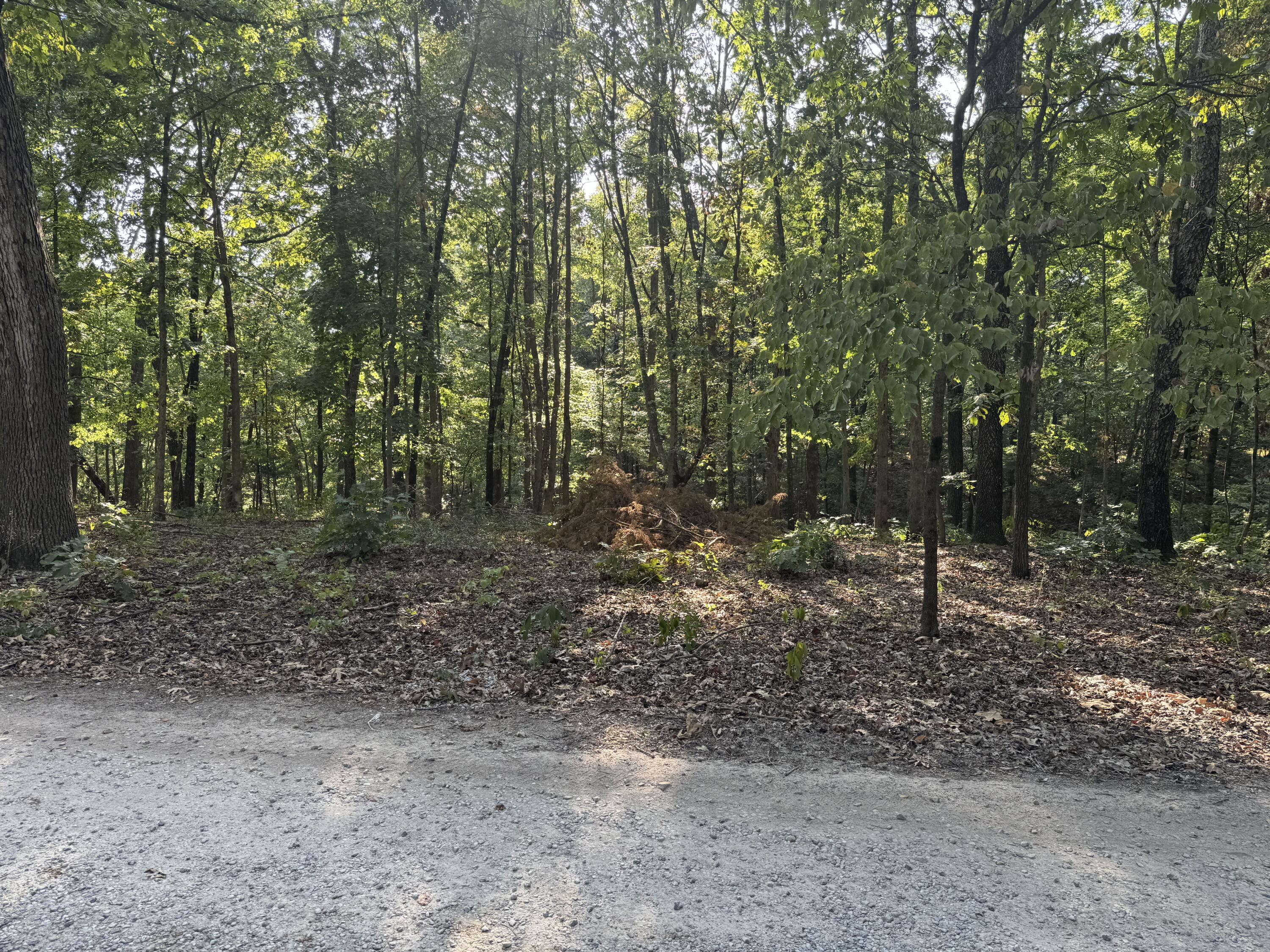 Photo 3 - Land for sale – Xxxx  Coyote Ridge Road  Cassville, MO