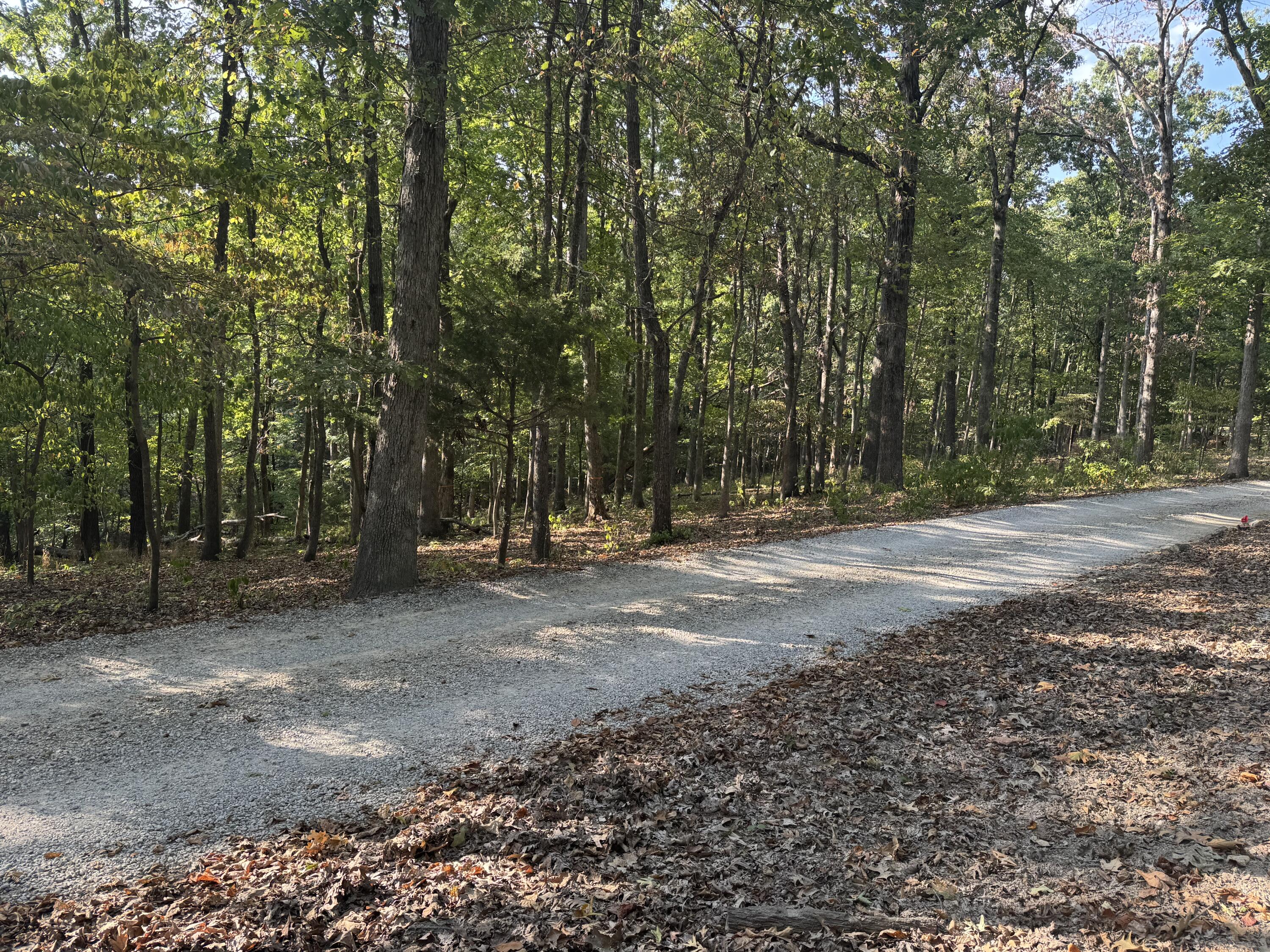 Photo 4 - Land for sale – Xxxx  Coyote Ridge Road  Cassville, MO
