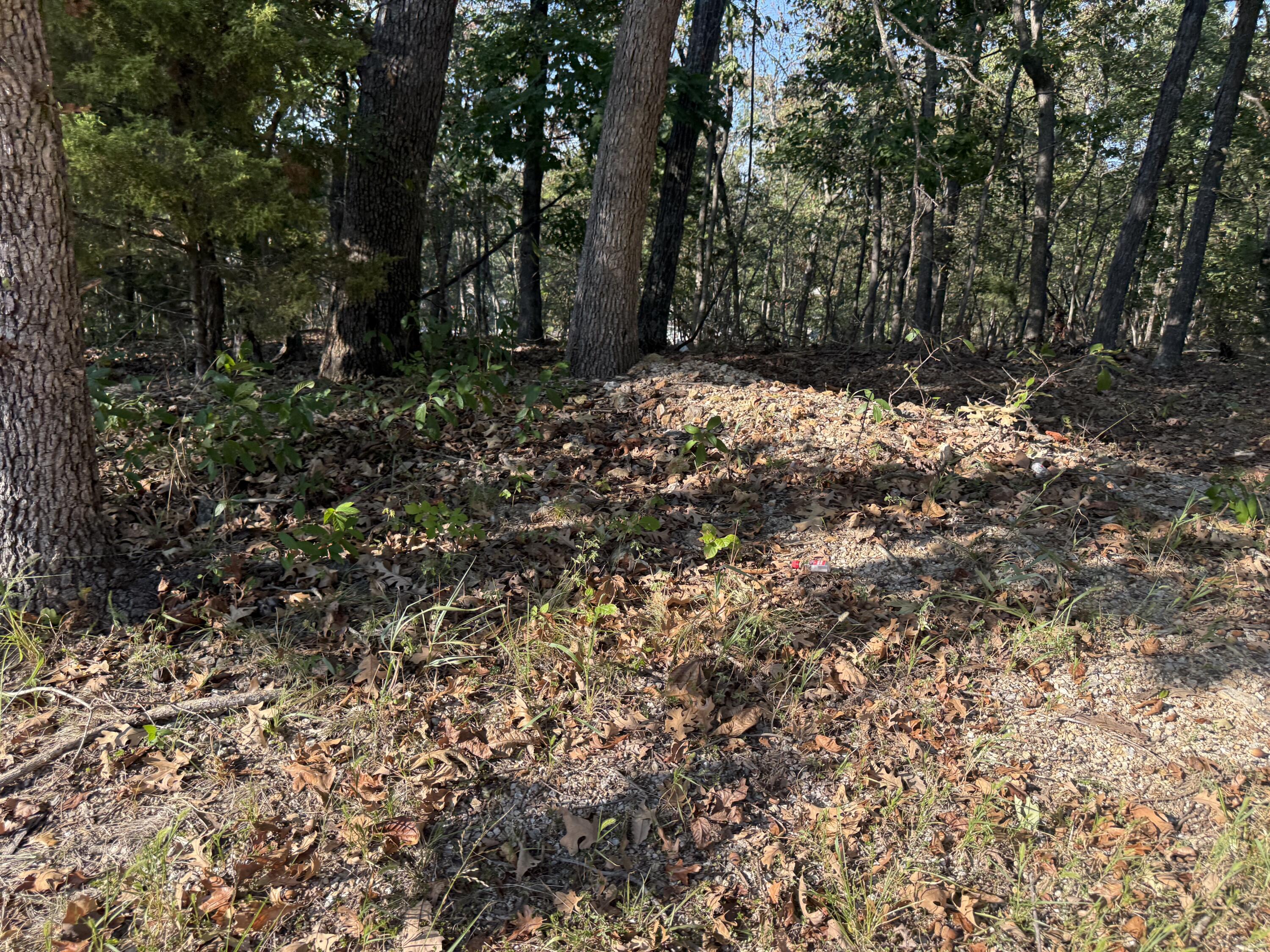 Photo 7 - Land for sale – 7  Columbine Road  Lake Ozark, MO