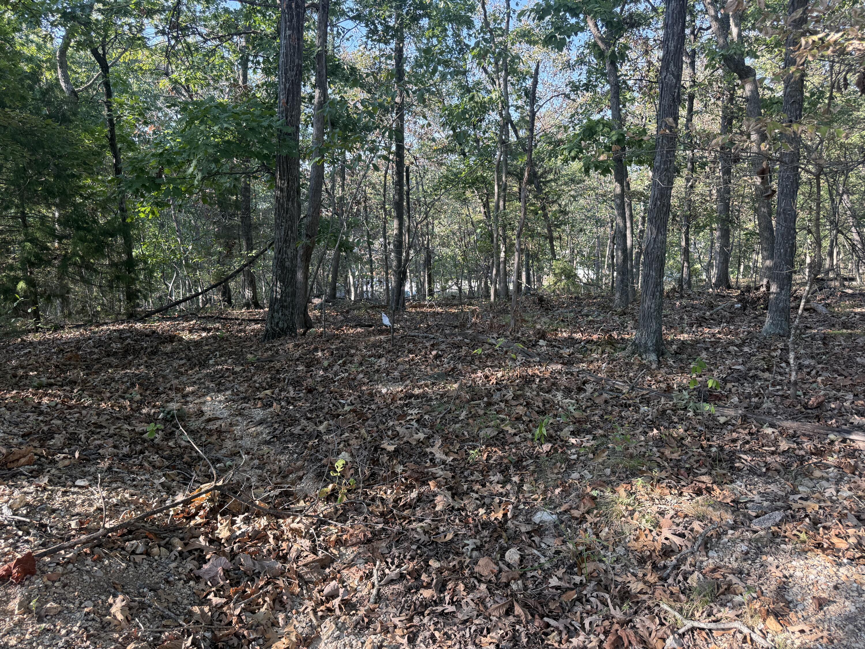 Photo 4 - Land for sale – 7  Columbine Road  Lake Ozark, MO