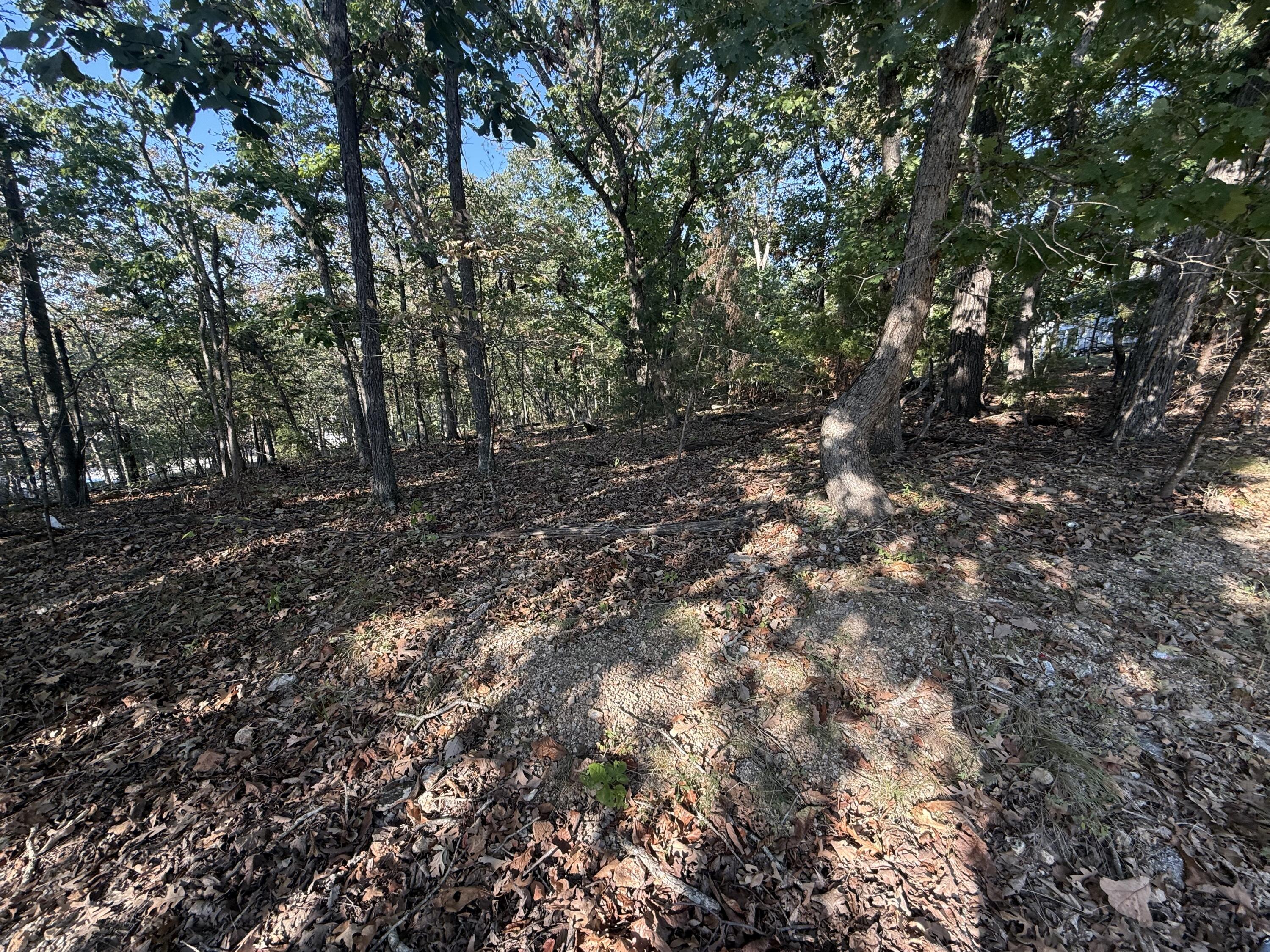 Photo 6 - Land for sale – 7  Columbine Road  Lake Ozark, MO