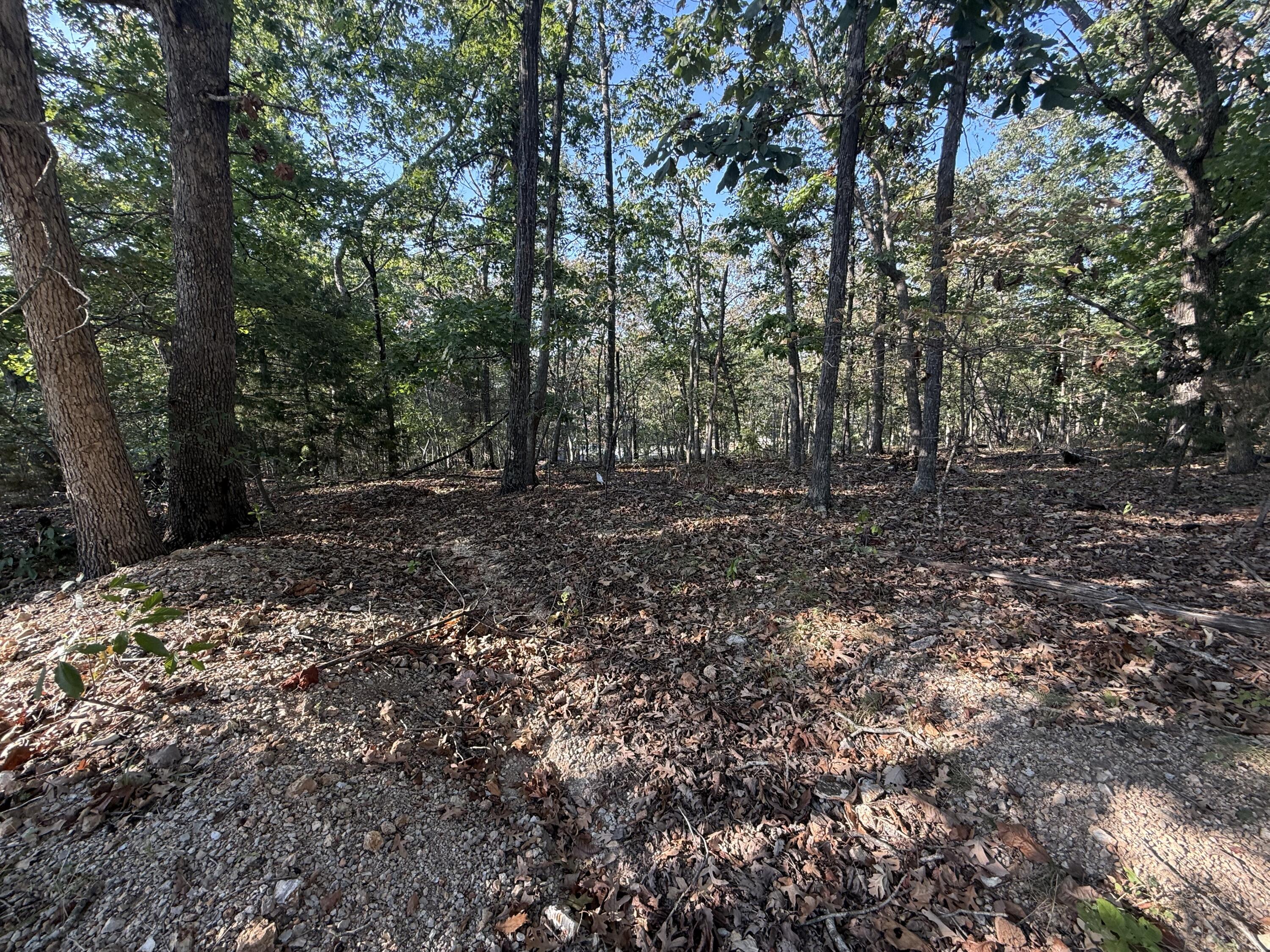 Photo 5 - Land for sale – 7  Columbine Road  Lake Ozark, MO
