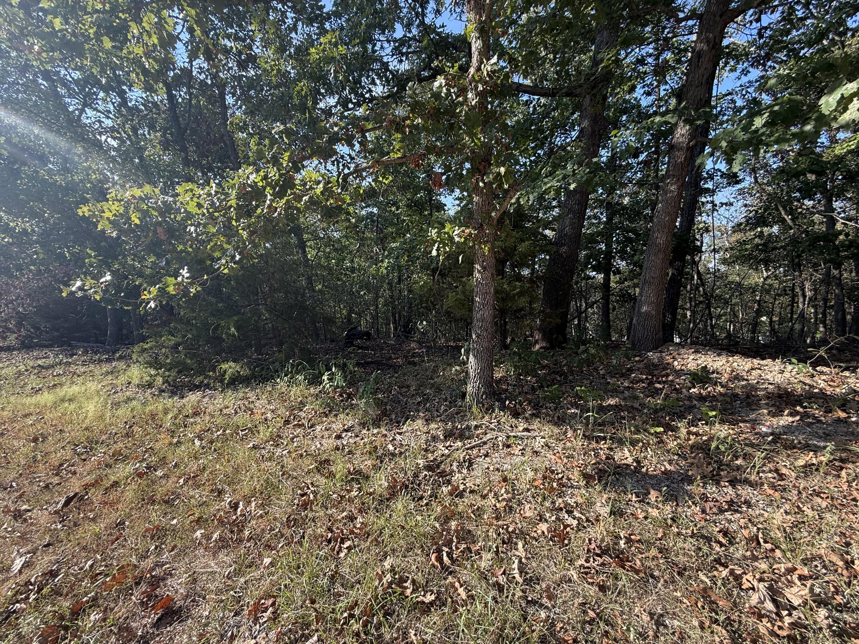 Photo 3 - Land for sale – 7  Columbine Road  Lake Ozark, MO