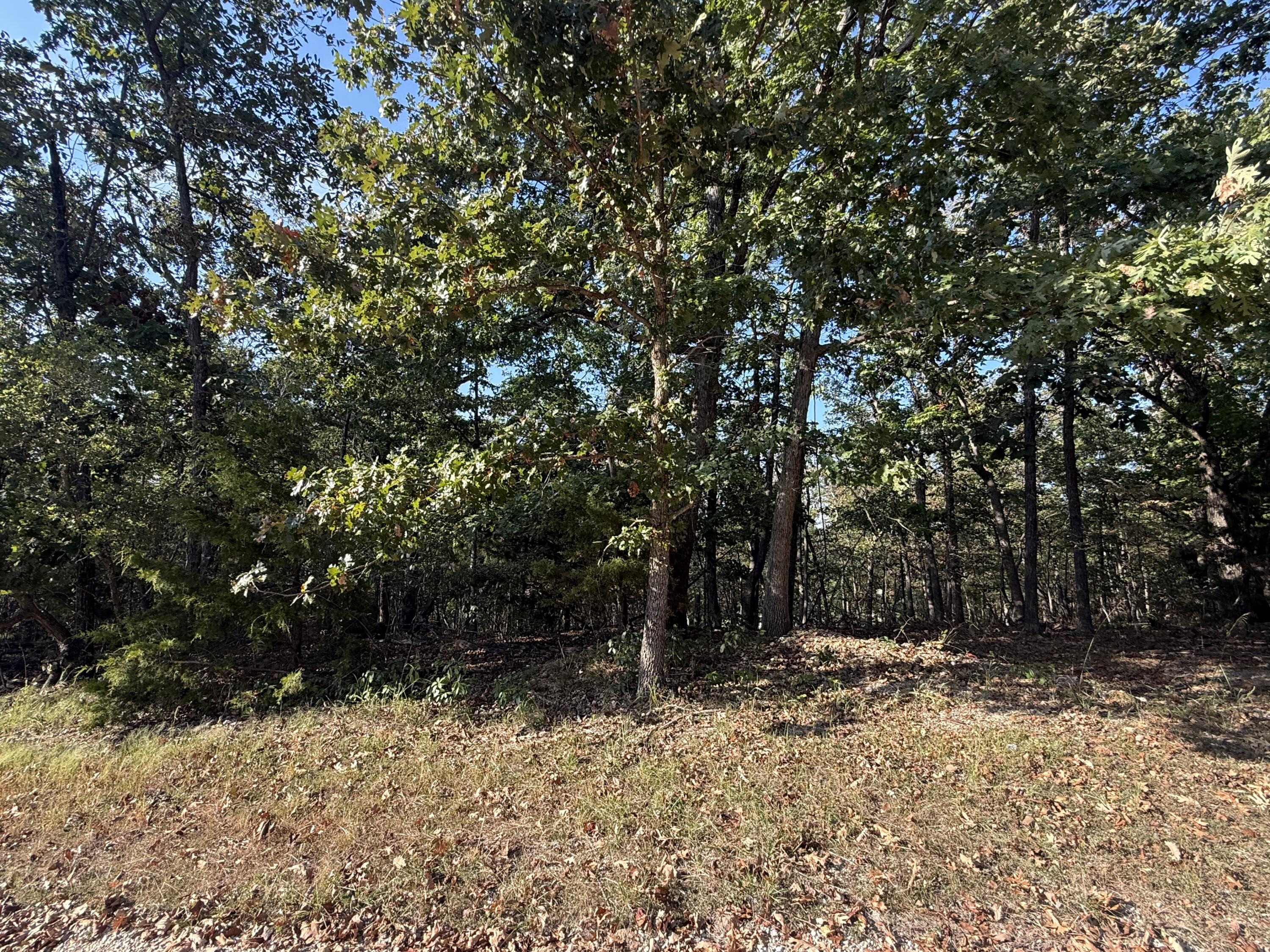 Photo 9 - Land for sale – 7  Columbine Road  Lake Ozark, MO