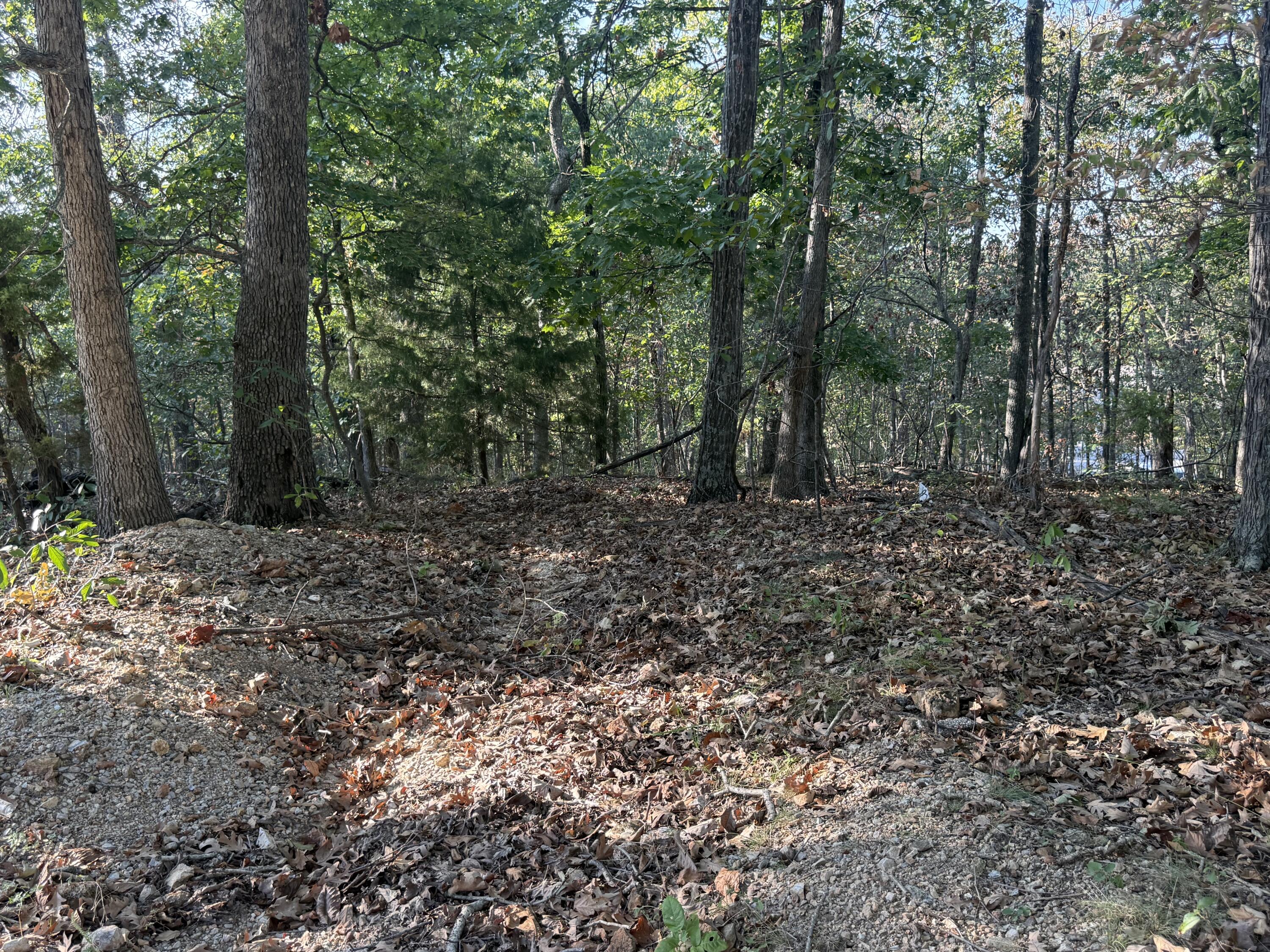Photo 11 - Land for sale – 7  Columbine Road  Lake Ozark, MO