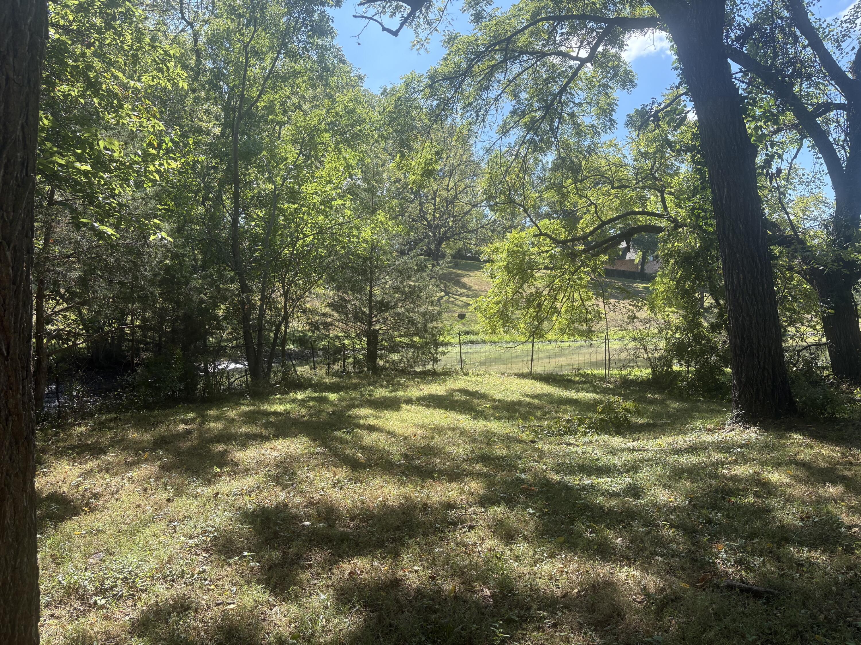 Photo 7 - Residential for sale – 3060 W Ellison Drive  Springfield, MO