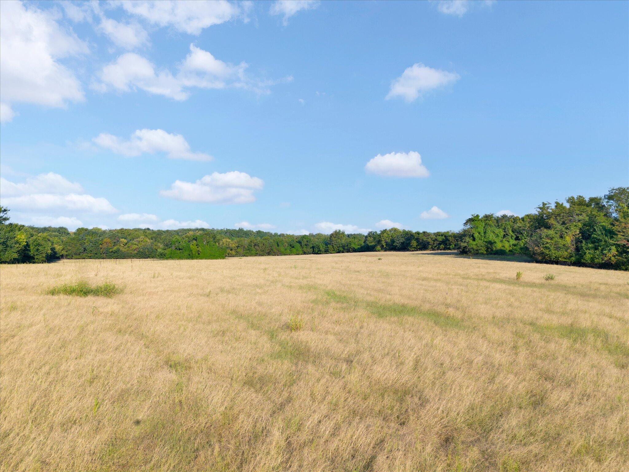 Photo 10 - Land for sale – 002 S 20th Road  Aldrich, MO