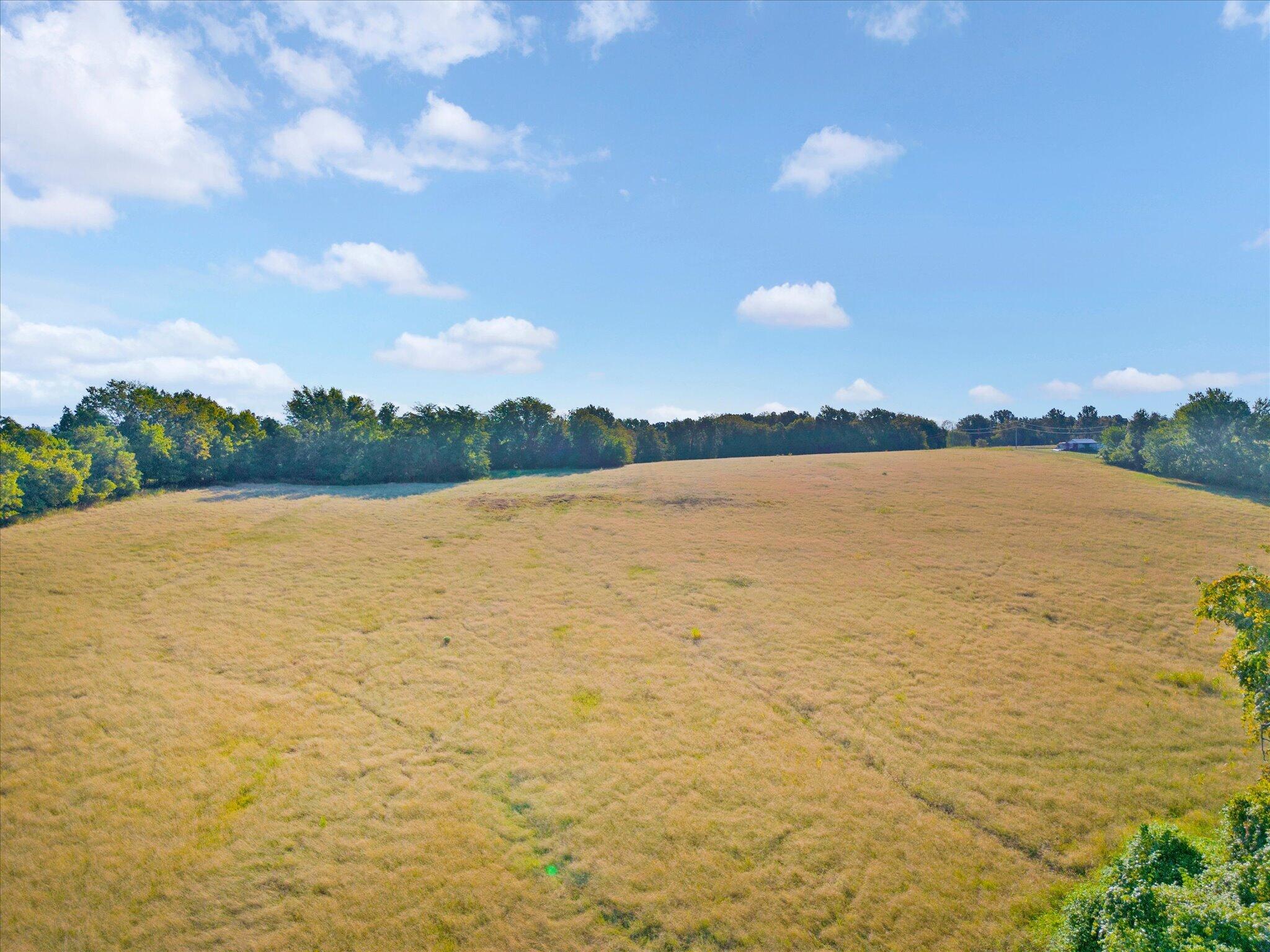 Photo 9 - Land for sale – 002 S 20th Road  Aldrich, MO