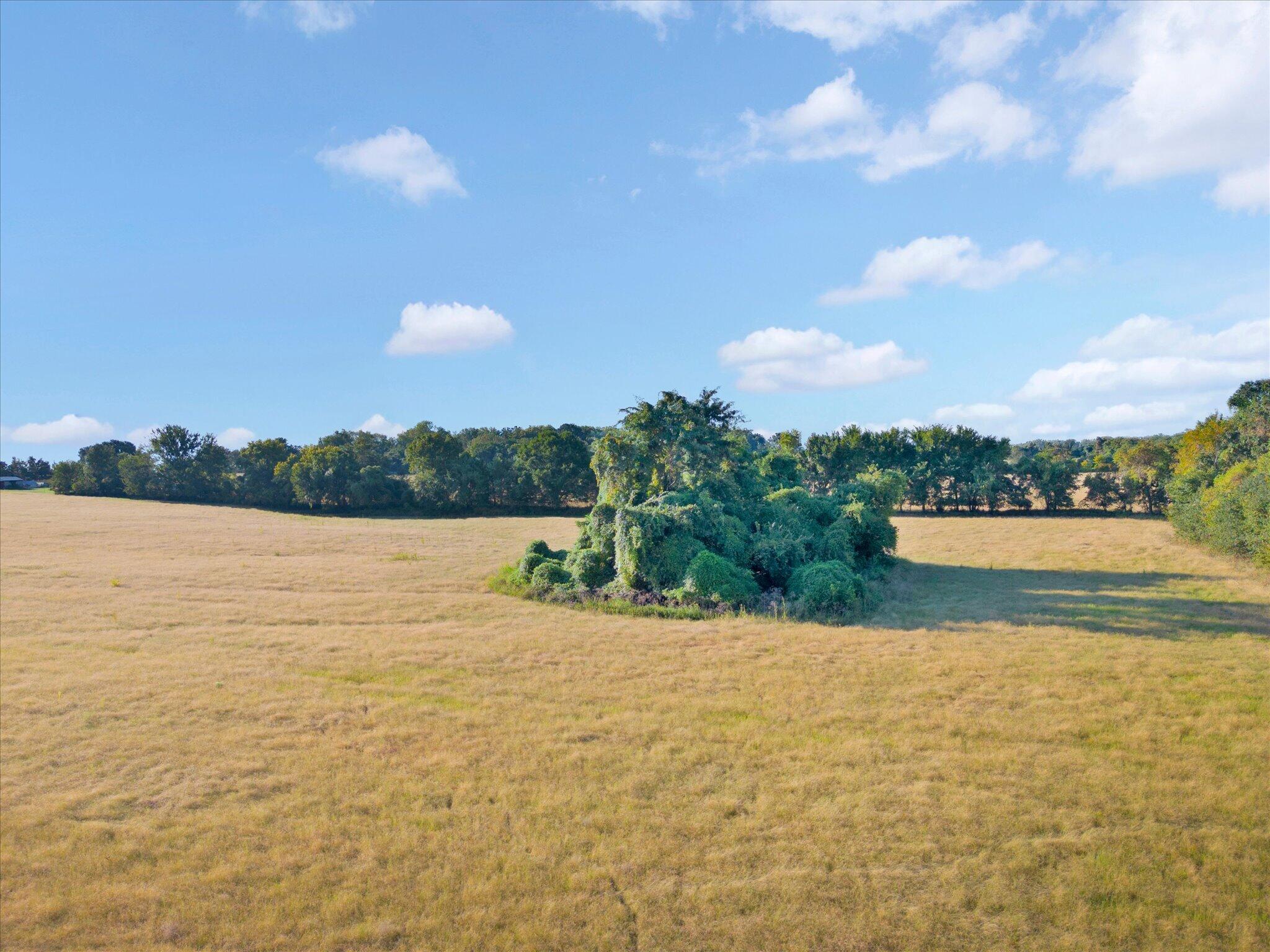 Photo 8 - Land for sale – 002 S 20th Road  Aldrich, MO