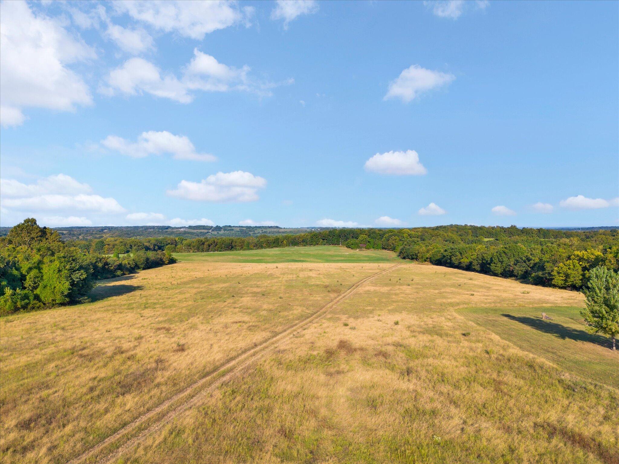 Photo 6 - Land for sale – 002 S 20th Road  Aldrich, MO