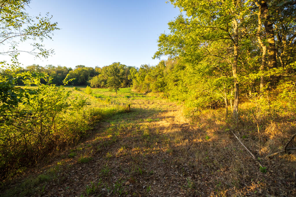 Photo 78 - Farm for sale – 2395 SW County Road  Rich Hill, MO