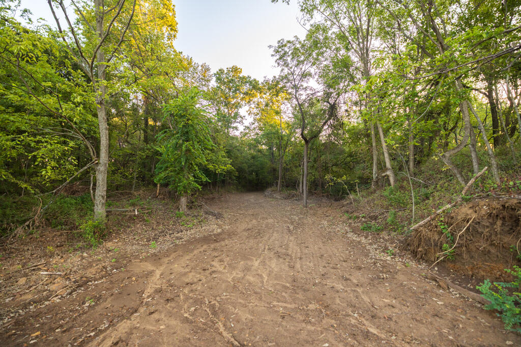 Photo 68 - Farm for sale – 2395 SW County Road  Rich Hill, MO