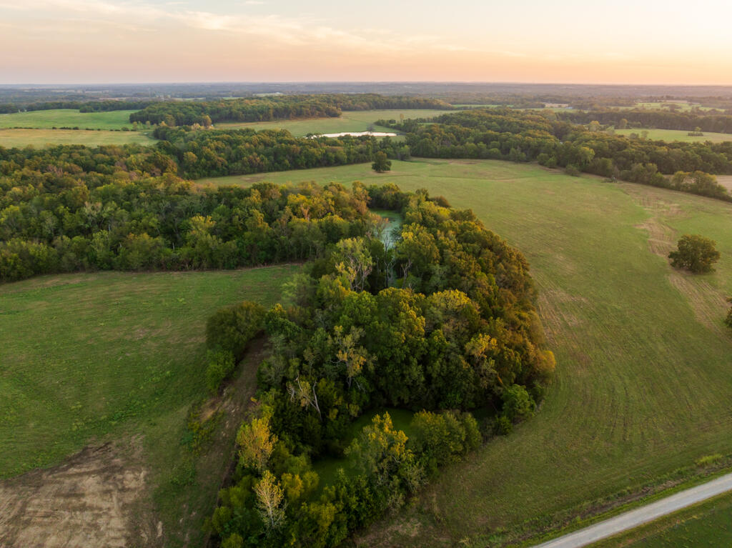 Photo 13 - Farm for sale – 2395 SW County Road  Rich Hill, MO