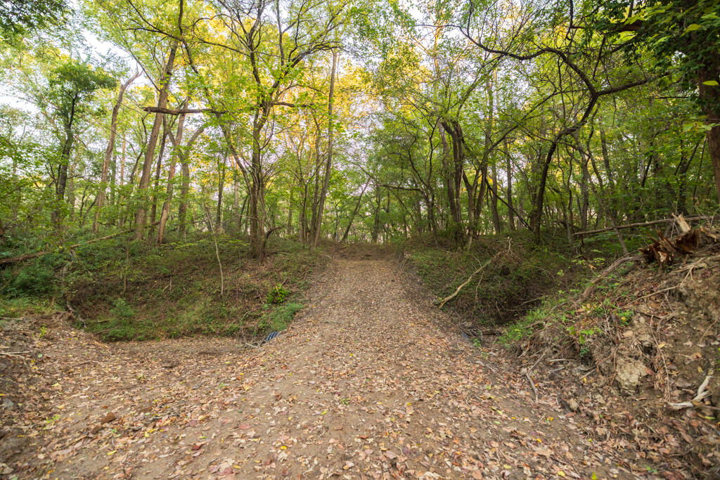 Photo 69 - Farm for sale – 2395 SW County Road  Rich Hill, MO