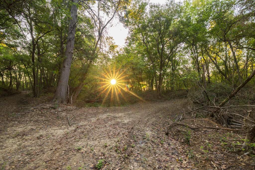 Photo 73 - Farm for sale – 2395 SW County Road  Rich Hill, MO