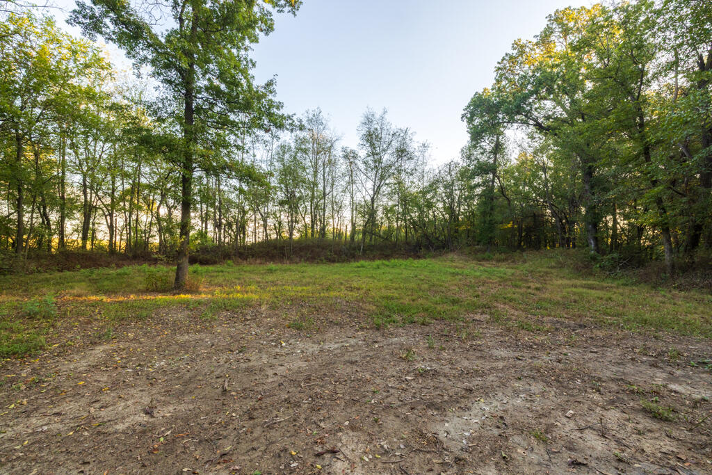 Photo 77 - Farm for sale – 2395 SW County Road  Rich Hill, MO