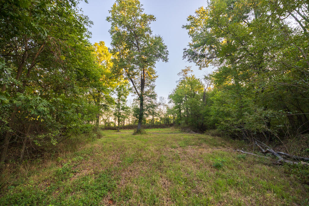 Photo 80 - Farm for sale – 2395 SW County Road  Rich Hill, MO