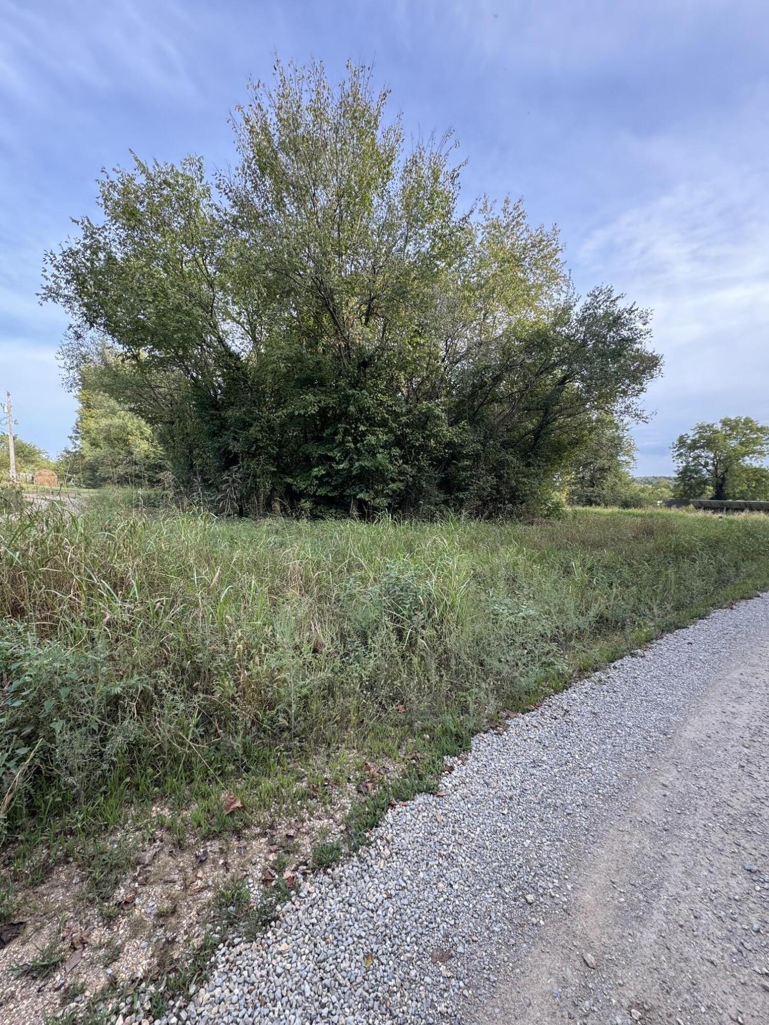 Photo 4 - Land for sale – 000  County Road 203   Couch, MO