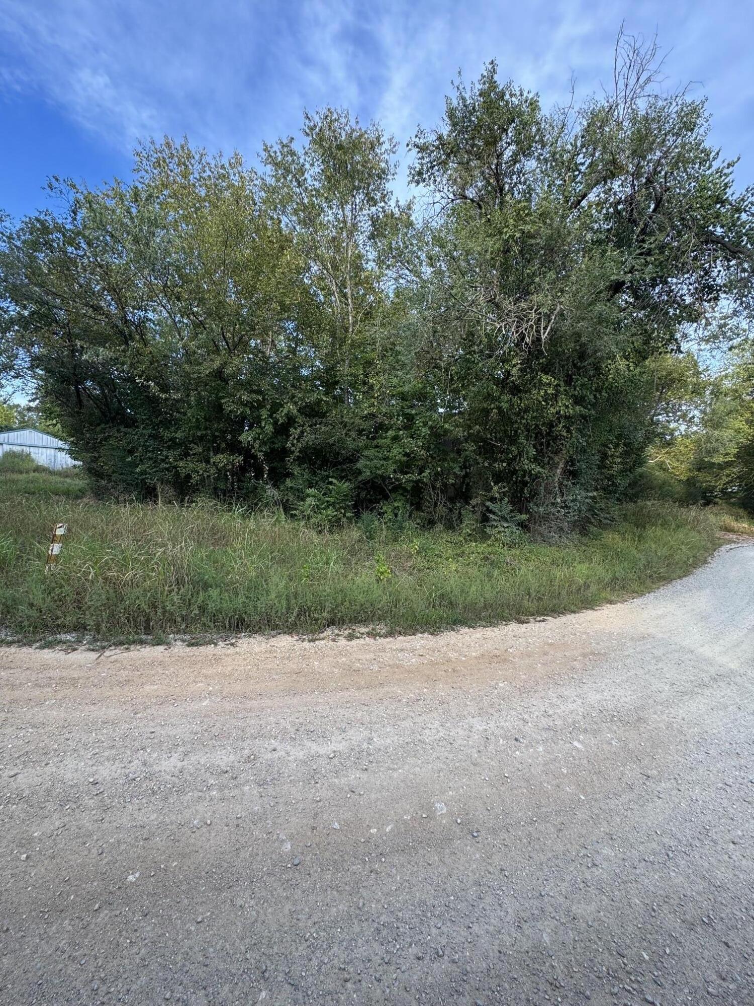 Photo 3 - Land for sale – 000  County Road 203   Couch, MO