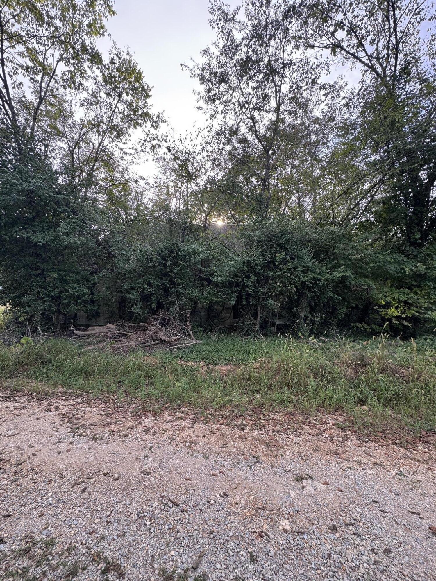 Photo 2 - Land for sale – 000  County Road 203   Couch, MO